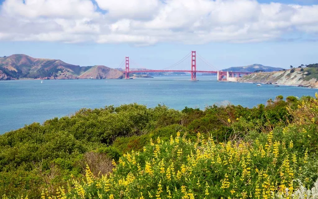   Lands End Trail, San Francisco  