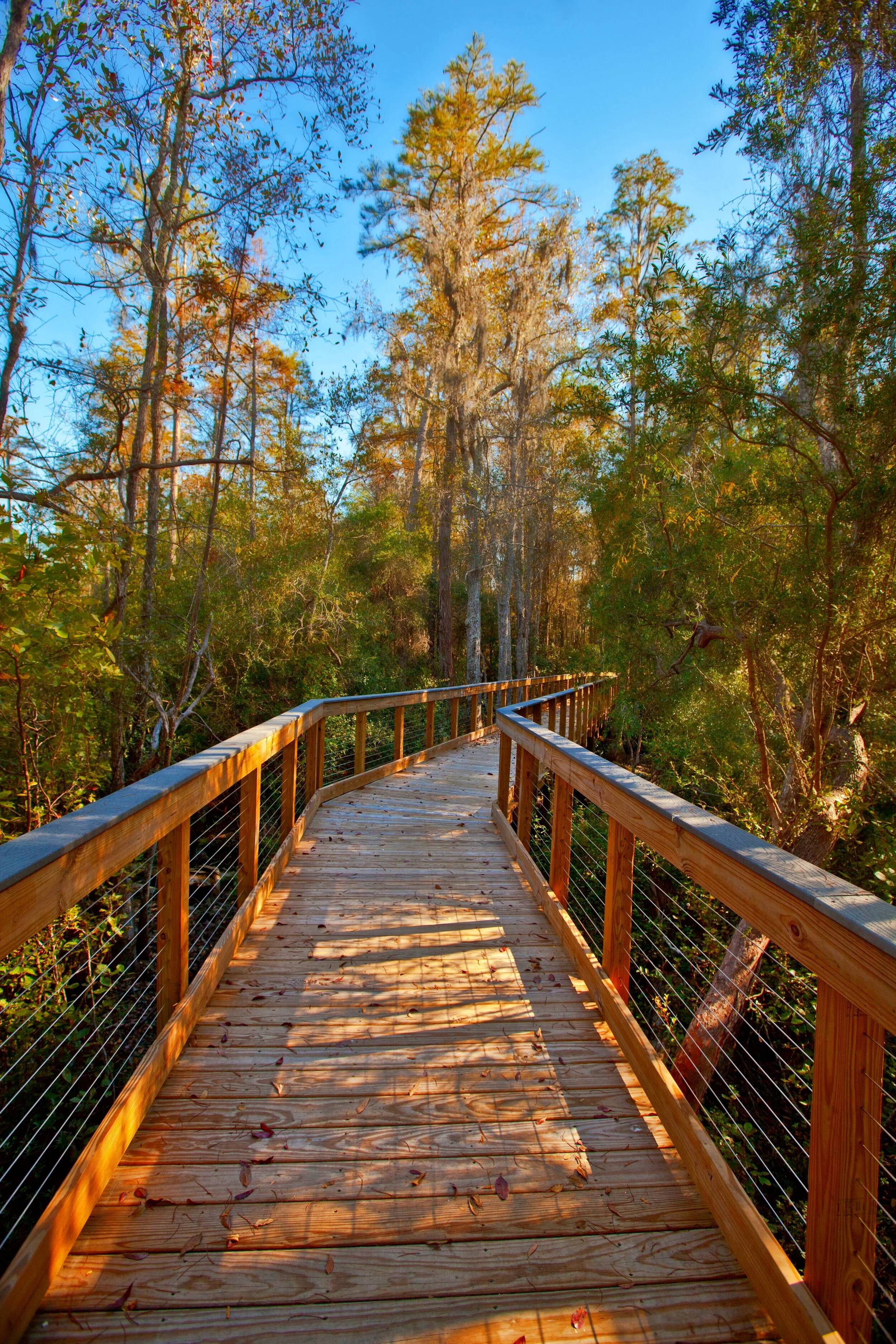 St. Andrews State Park
