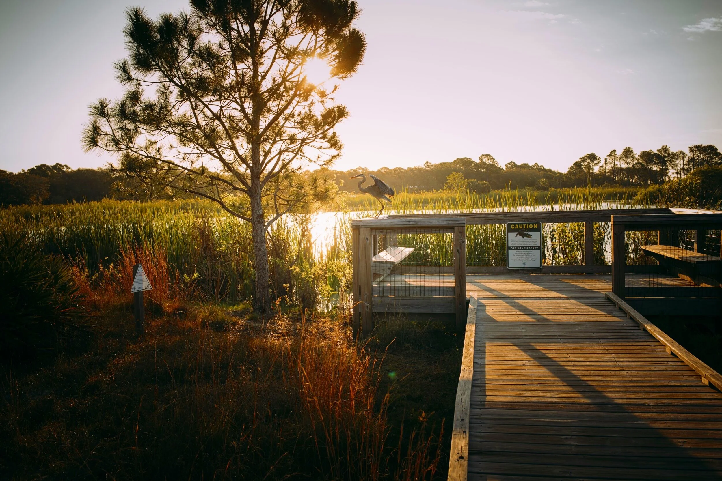 St. Andrews State Park