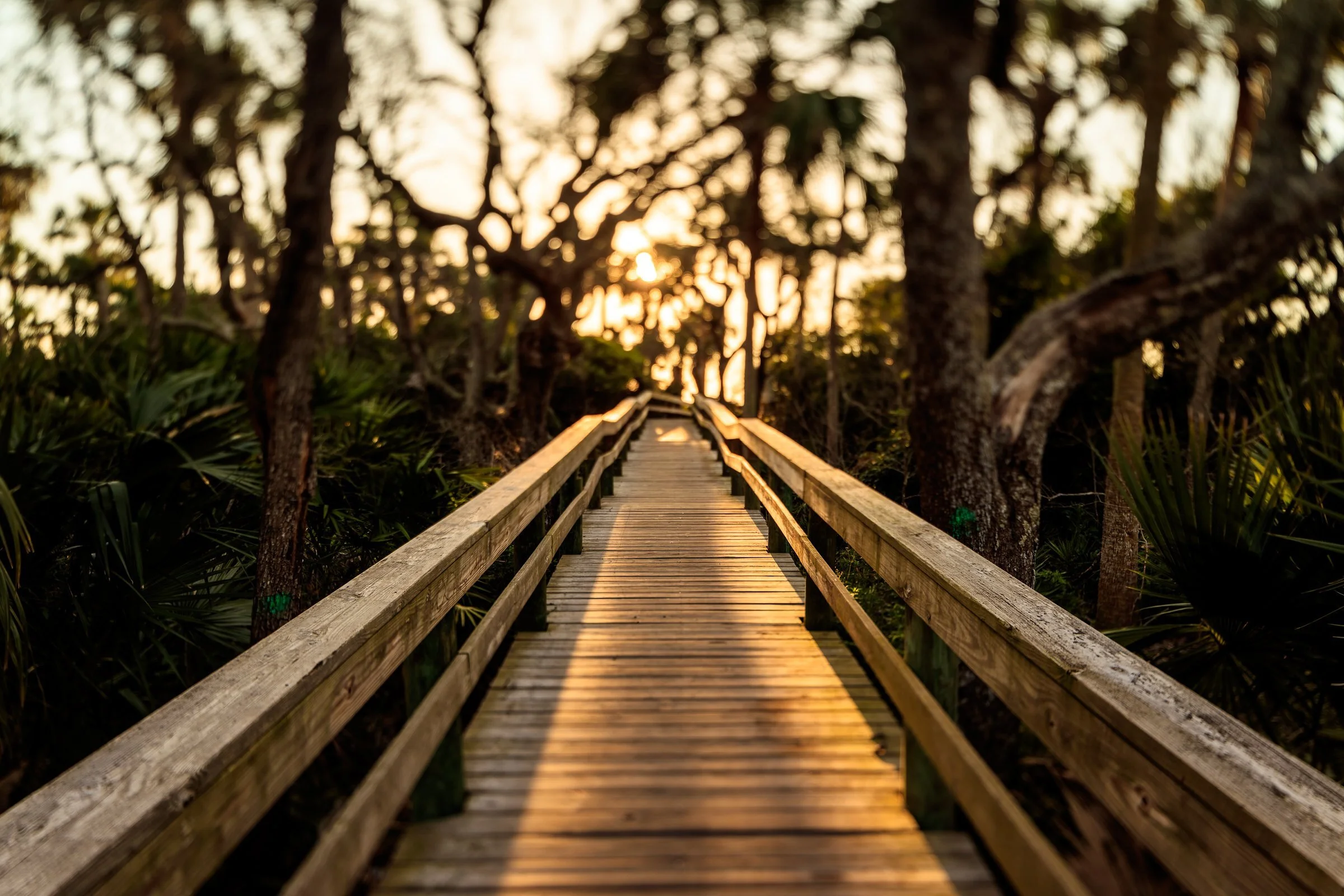 Timucuan Preserve