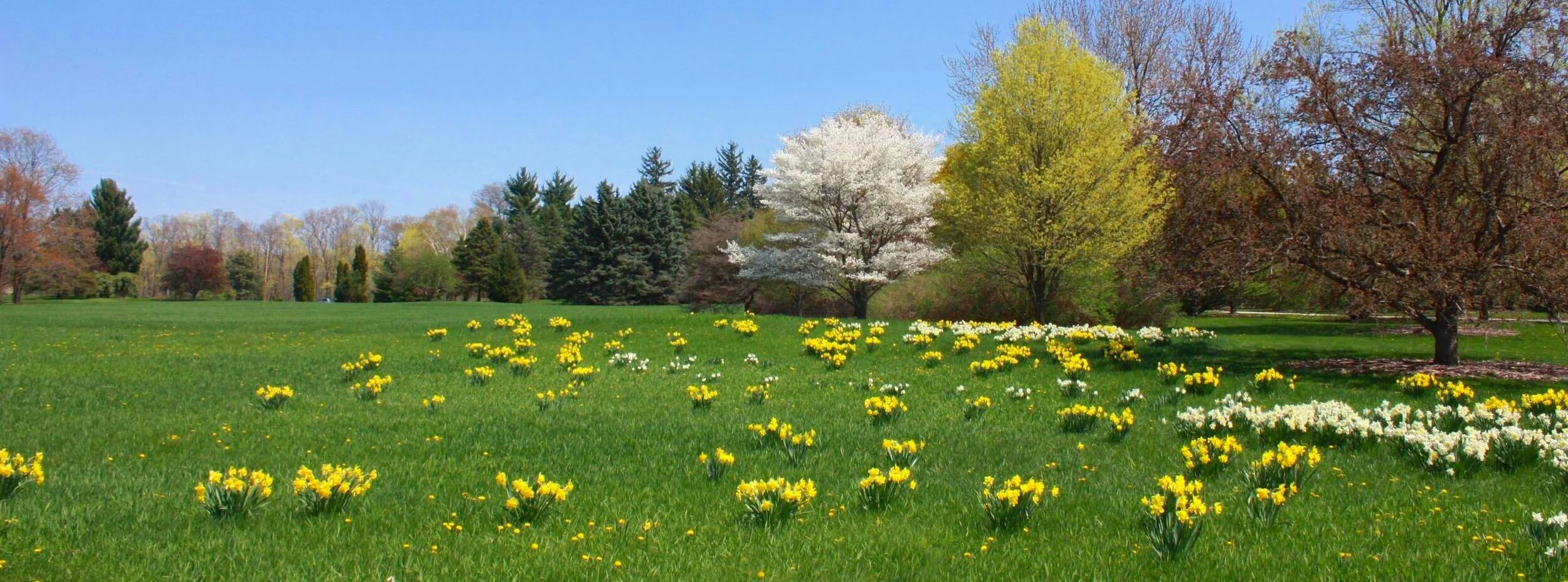   Hawthorn Hollow Nature Sanctuary and Arboretum  