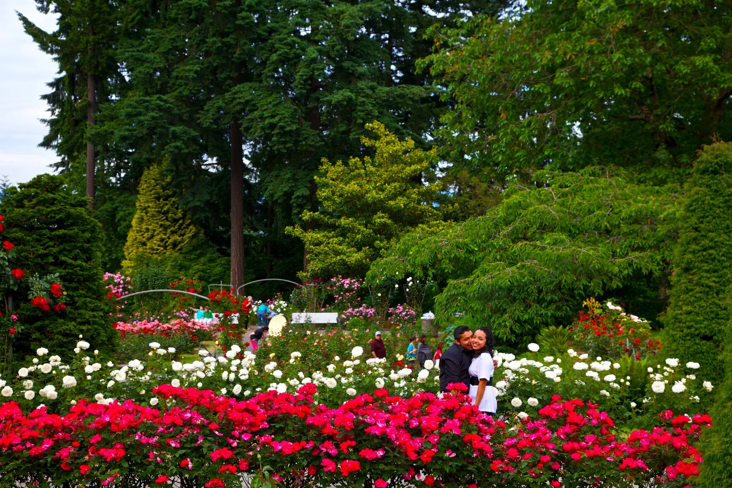 International Rose Test Garden