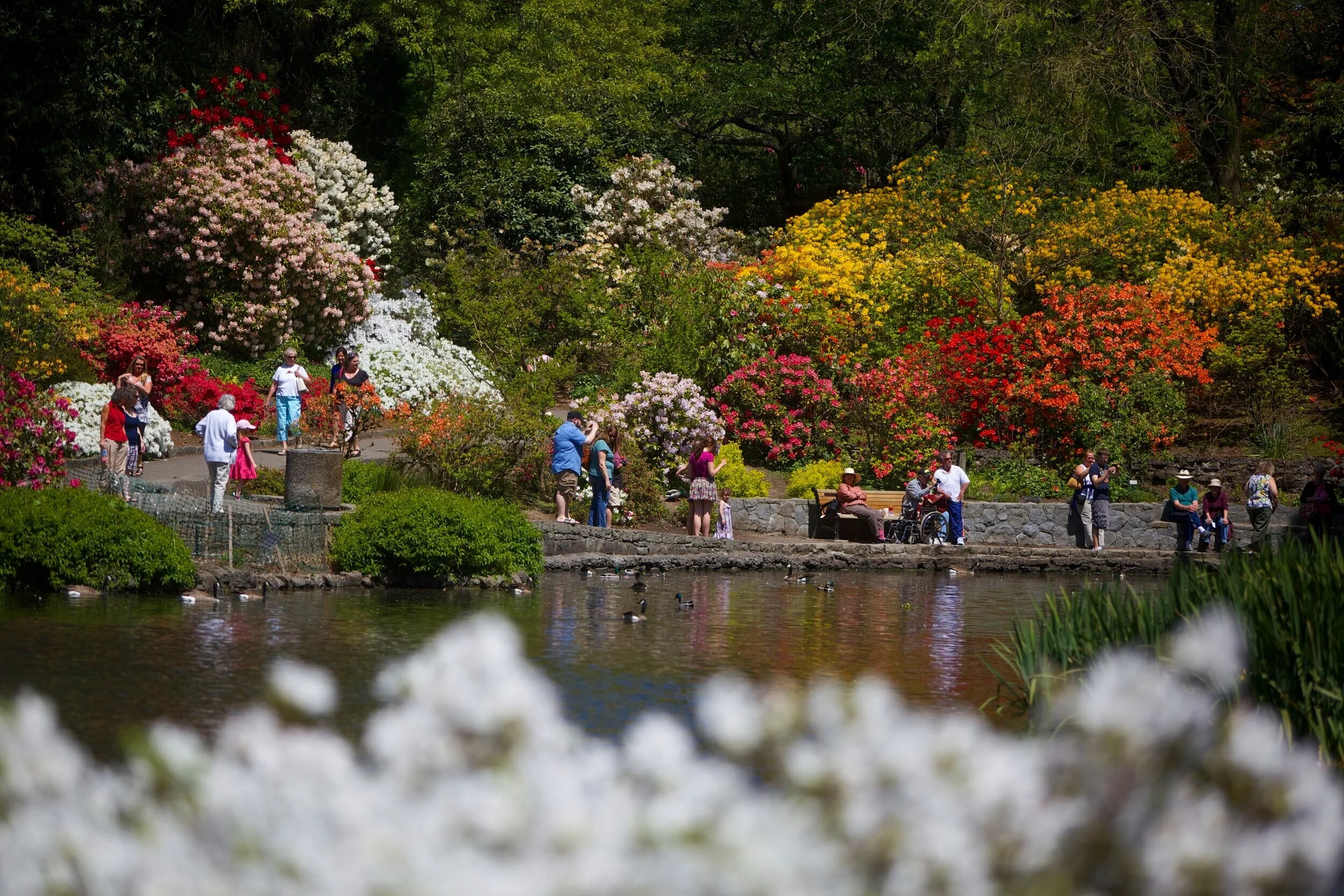 Your Weekend Getaway to Portland, Oregon: Official Travel Guide