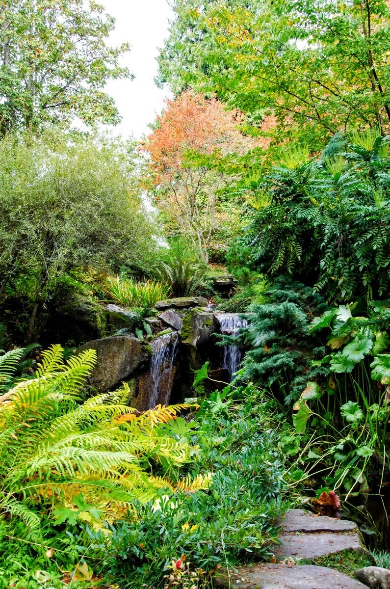 Bellevue Botanical Garden