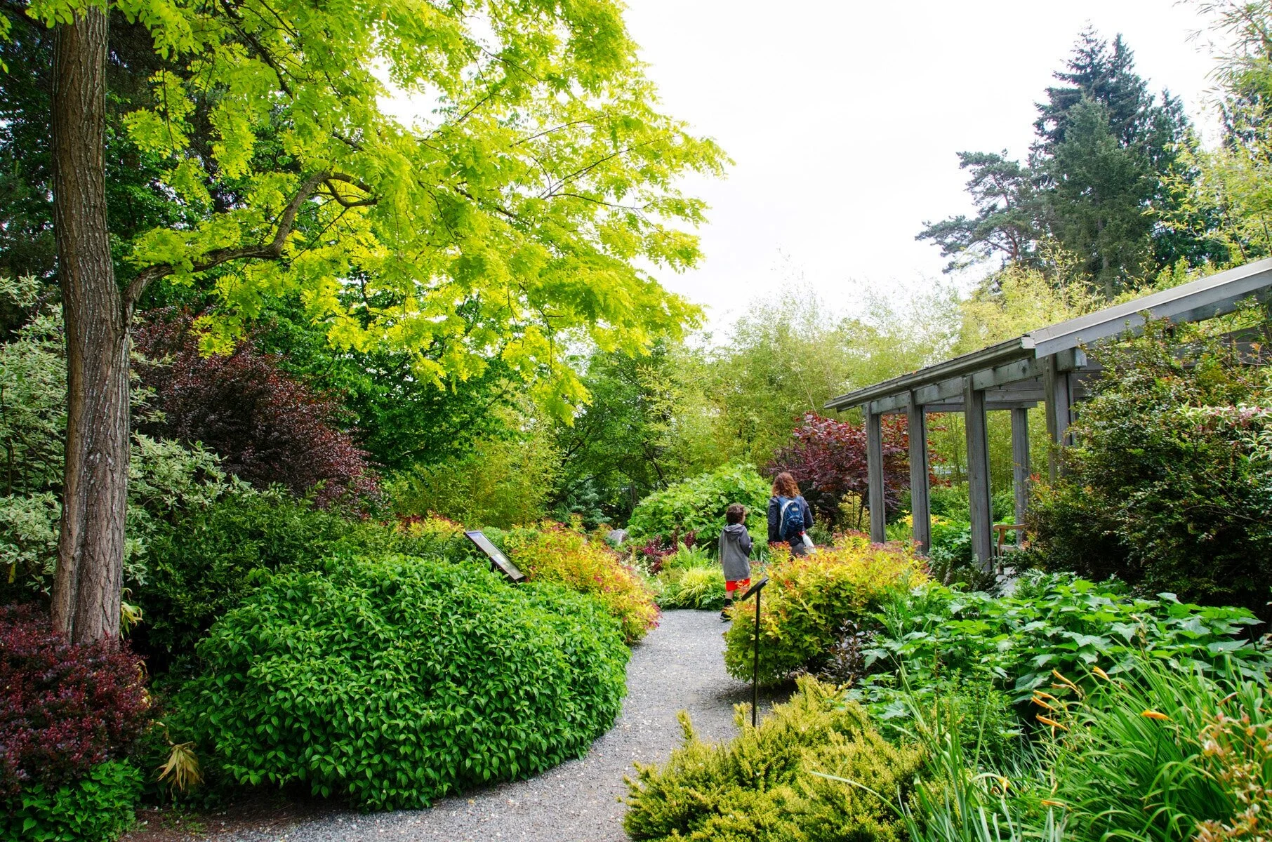 Bellevue Botanical Garden