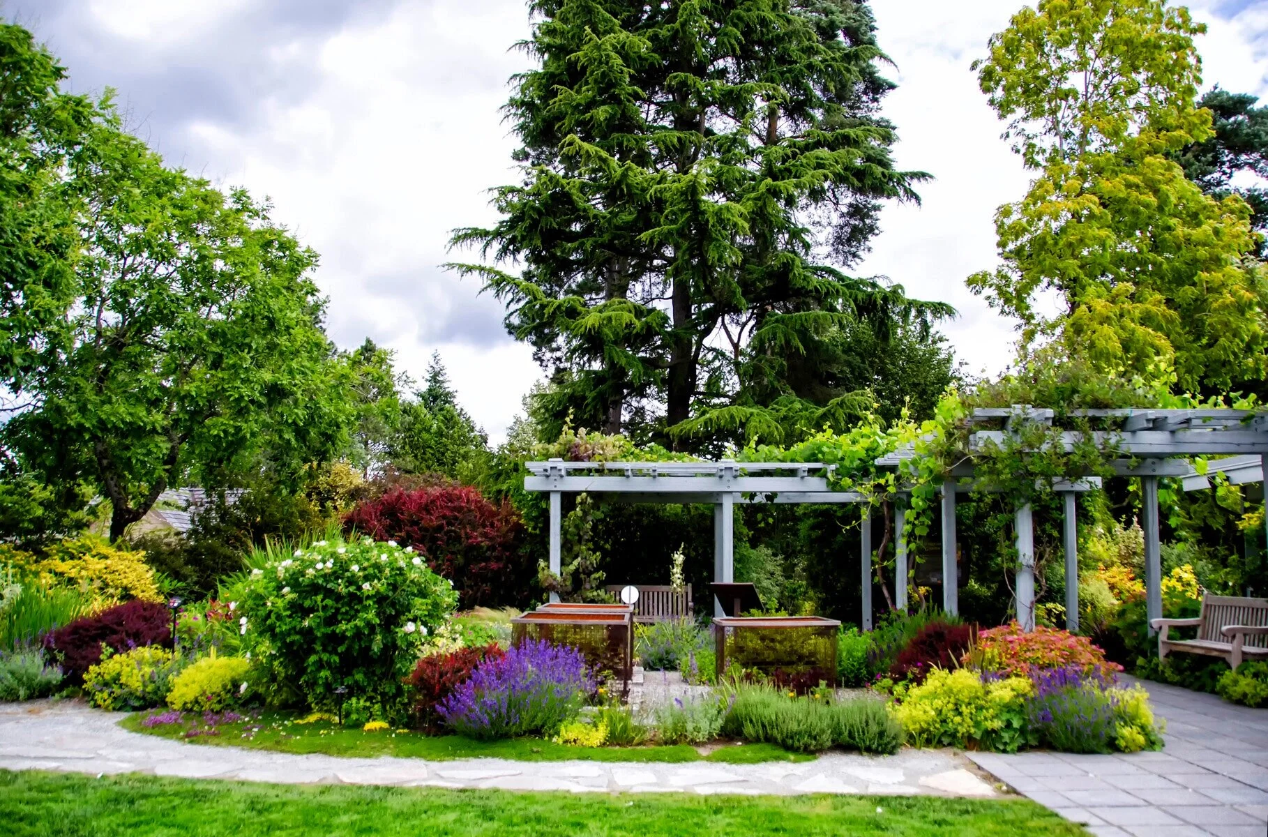 Bellevue Botanical Garden
