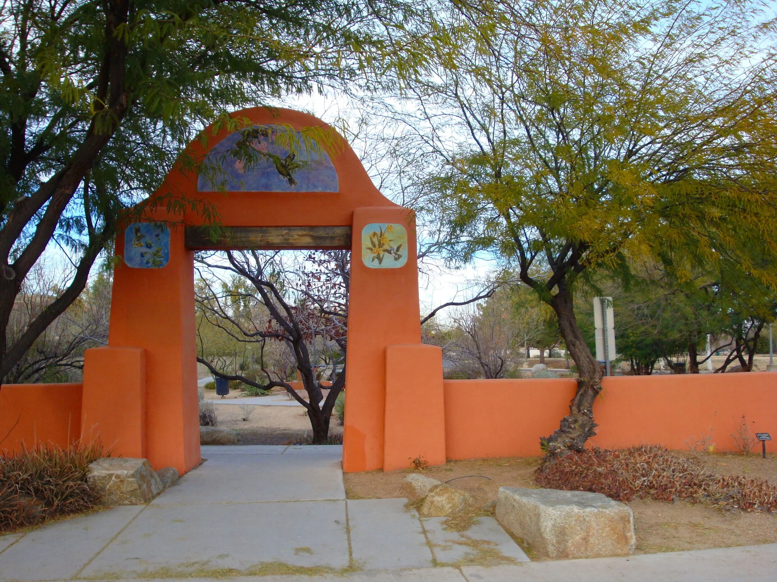   Hummingbird Habitat in Chandler, Arizona  