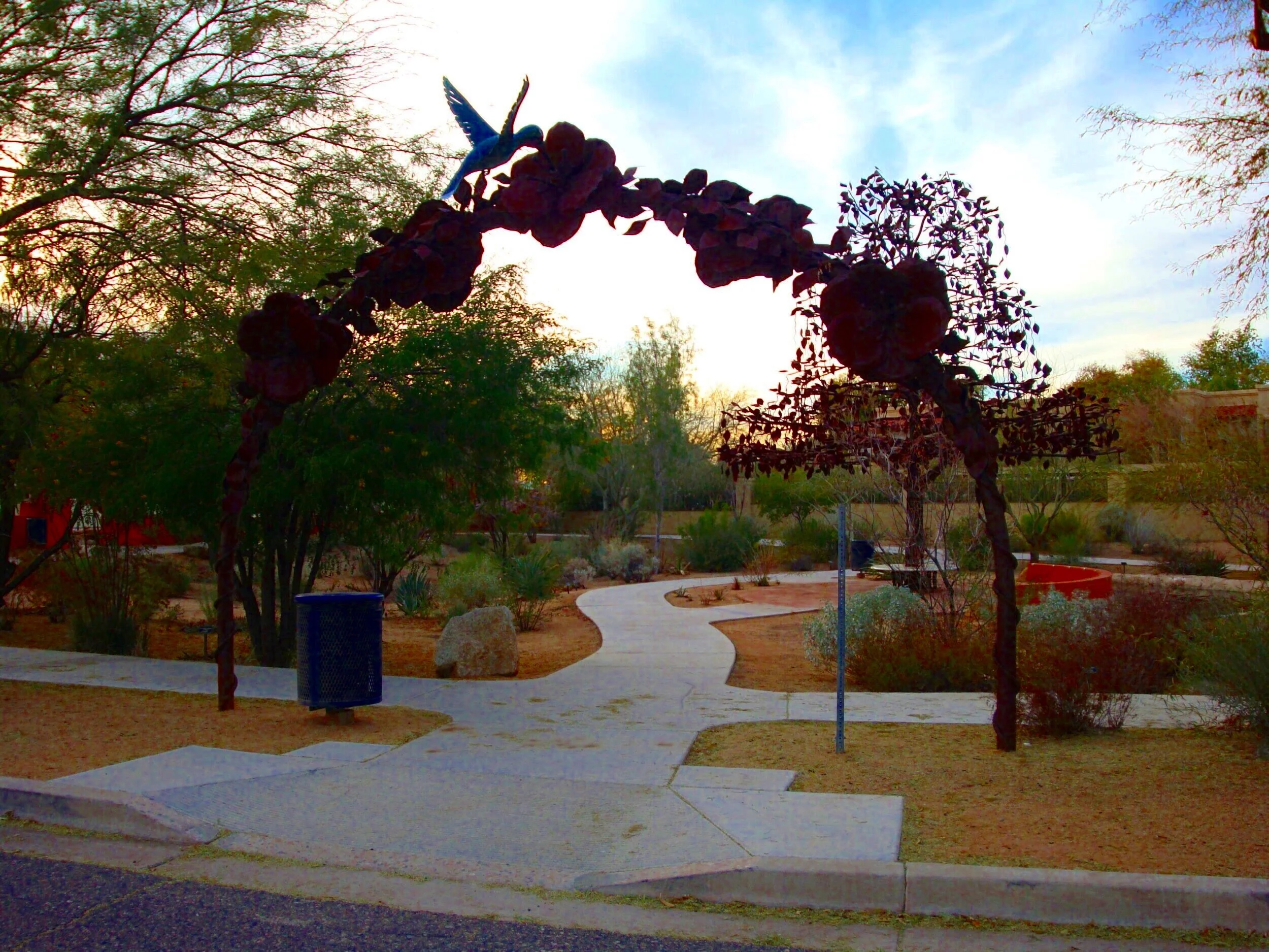   Hummingbird Habitat in Chandler, Arizona  