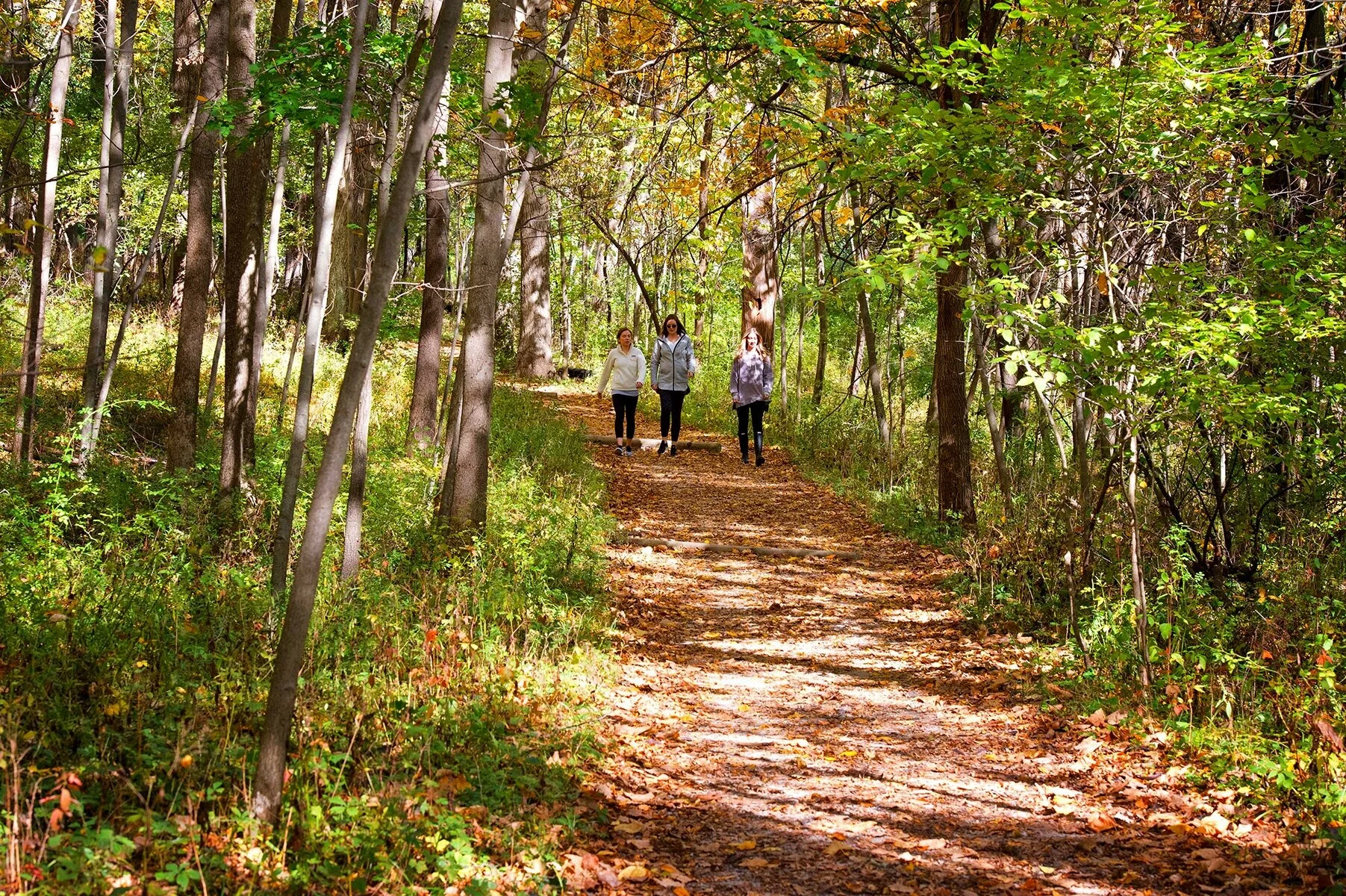 Image courtesy of Think Iowa City