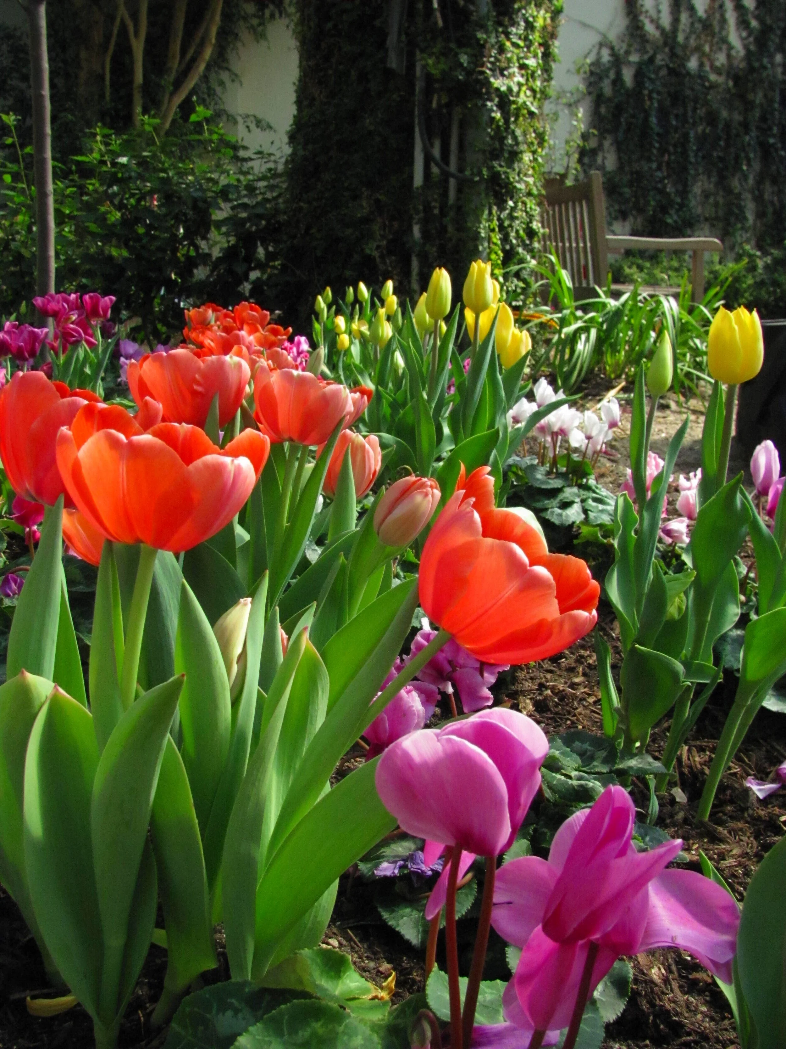 Image courtesy of Visit Fort Wayne