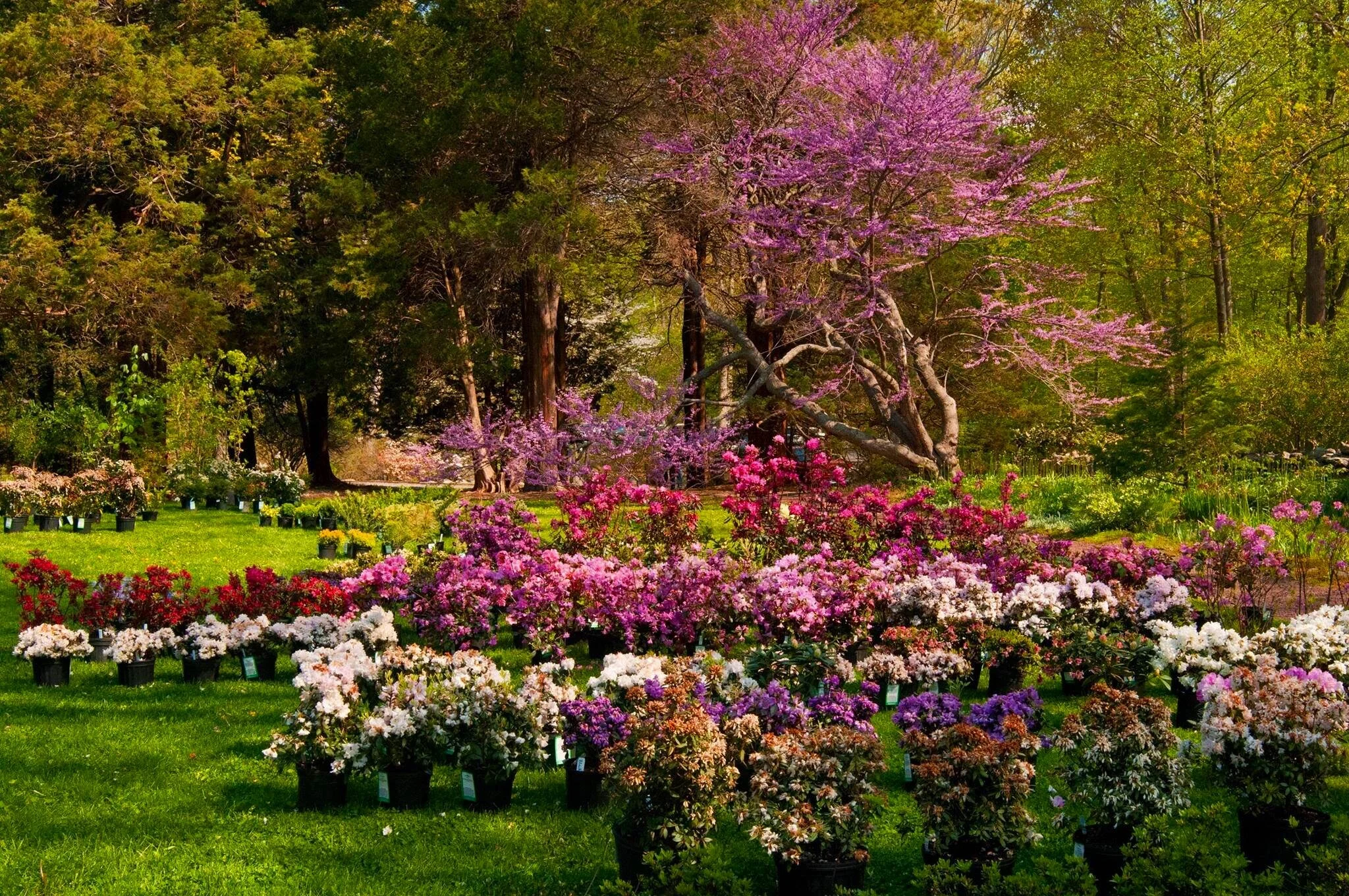Bartlett Arboretum &amp; Gardens