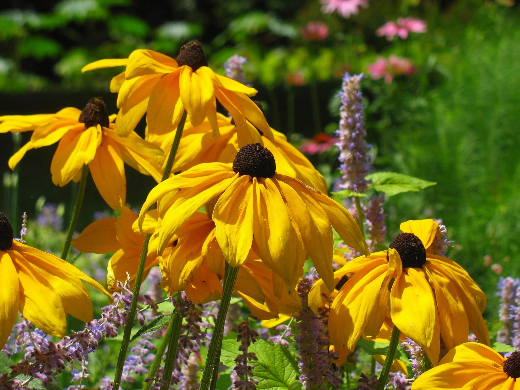 Bartlett Arboretum &amp; Gardens