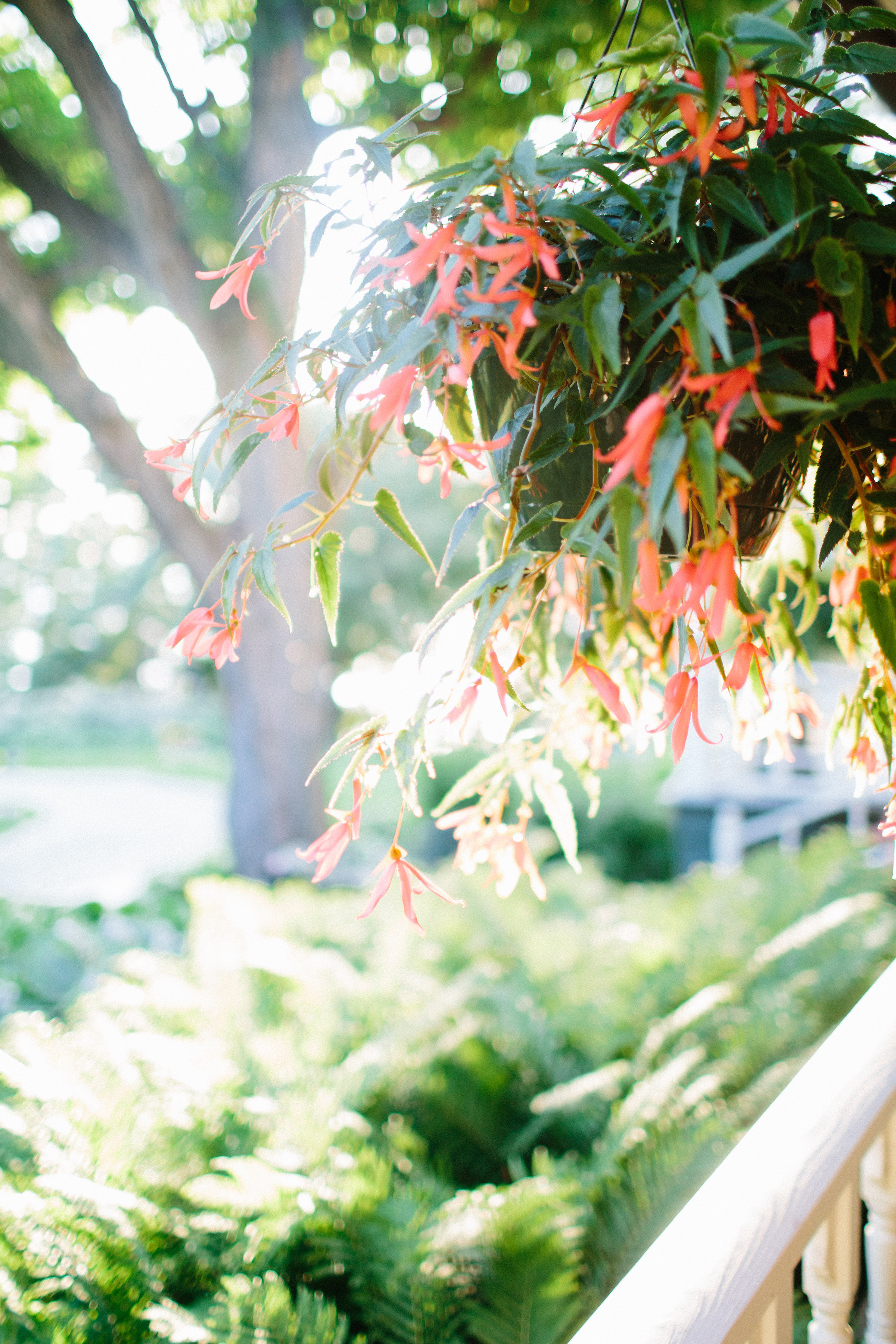 Black Point Estate &amp; Gardens