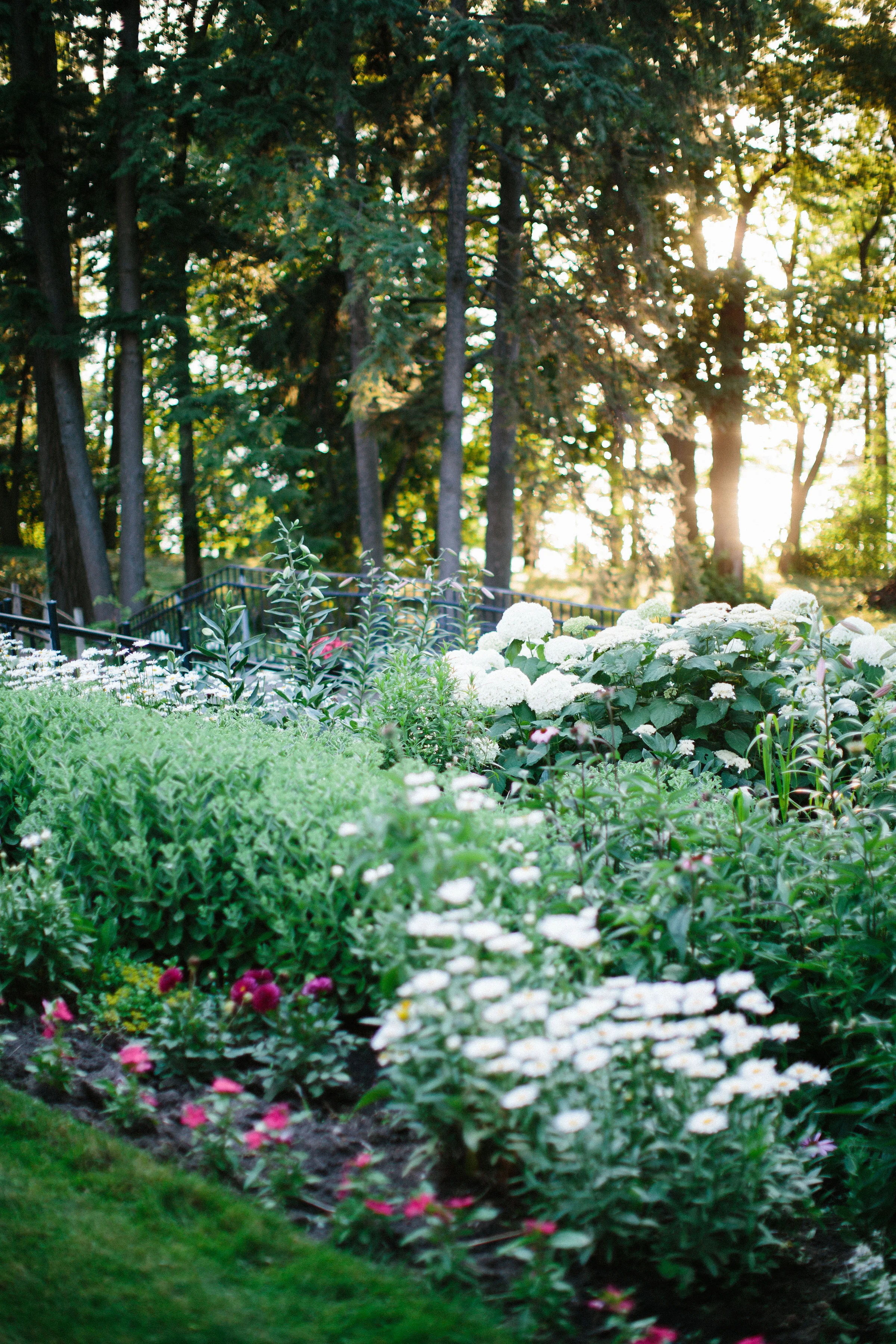 Black Point Estate &amp; Gardens