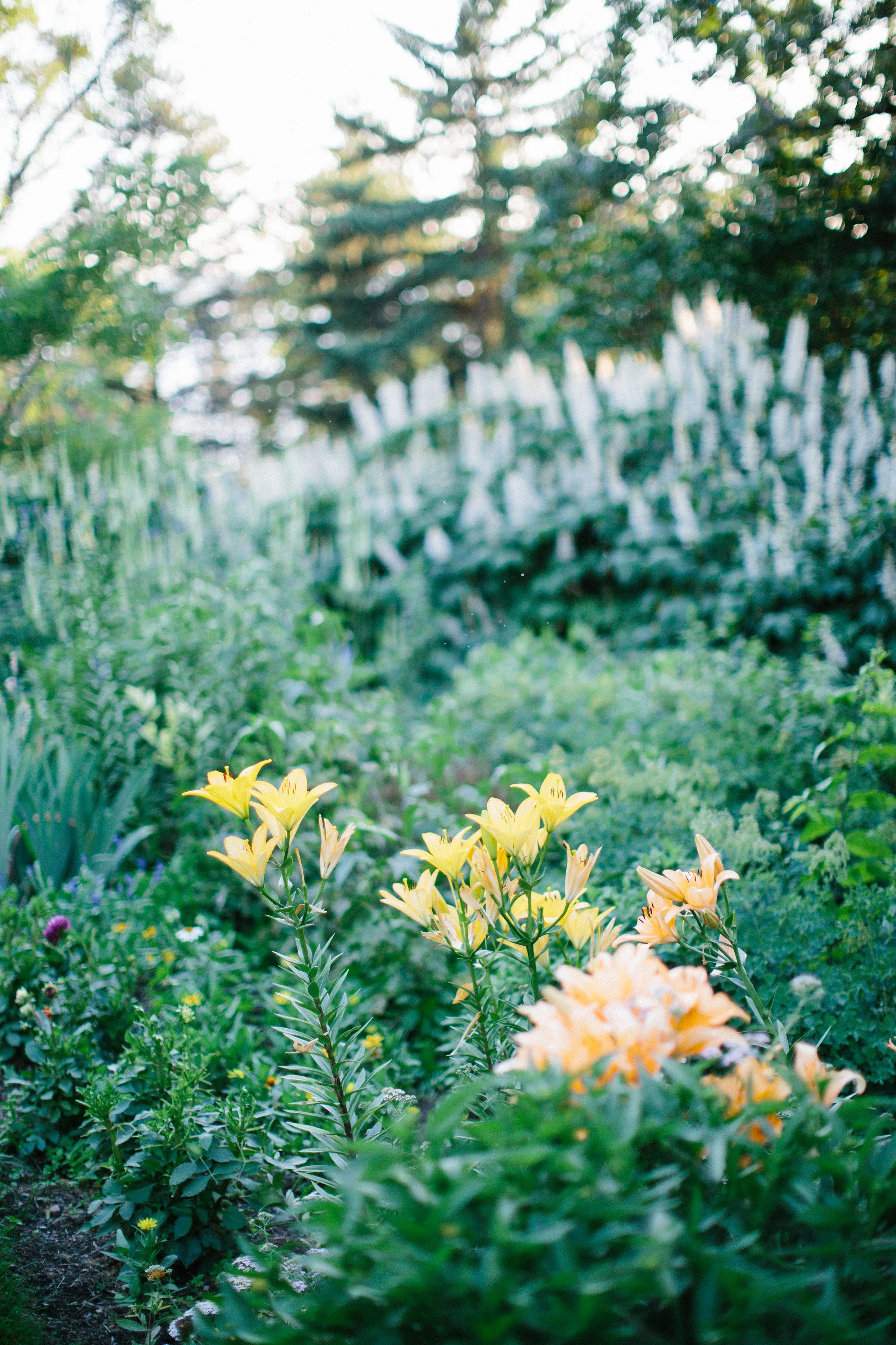 Black Point Estate &amp; Gardens