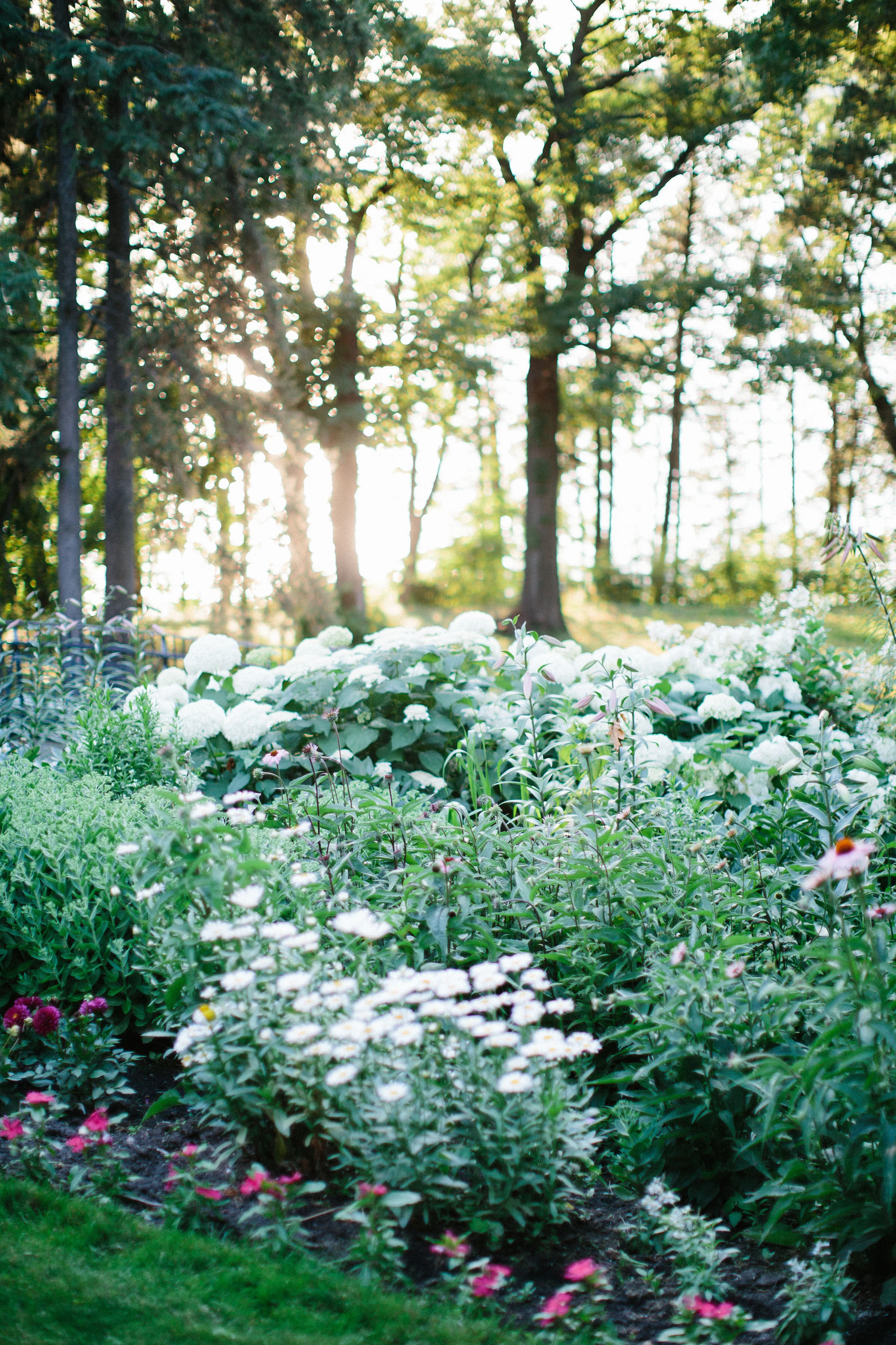 Black Point Estate &amp; Gardens