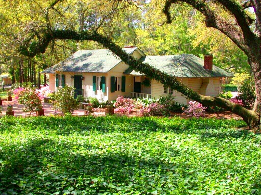 Hopelands Gardens