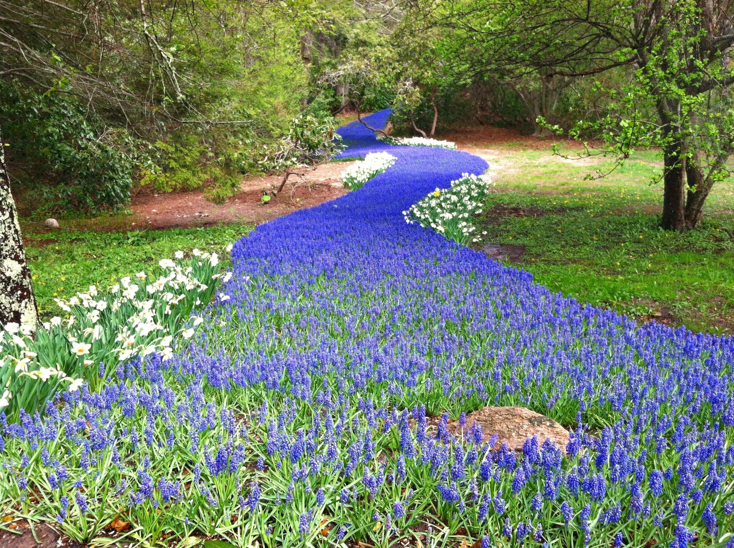 Heritage Museum &amp; Gardens