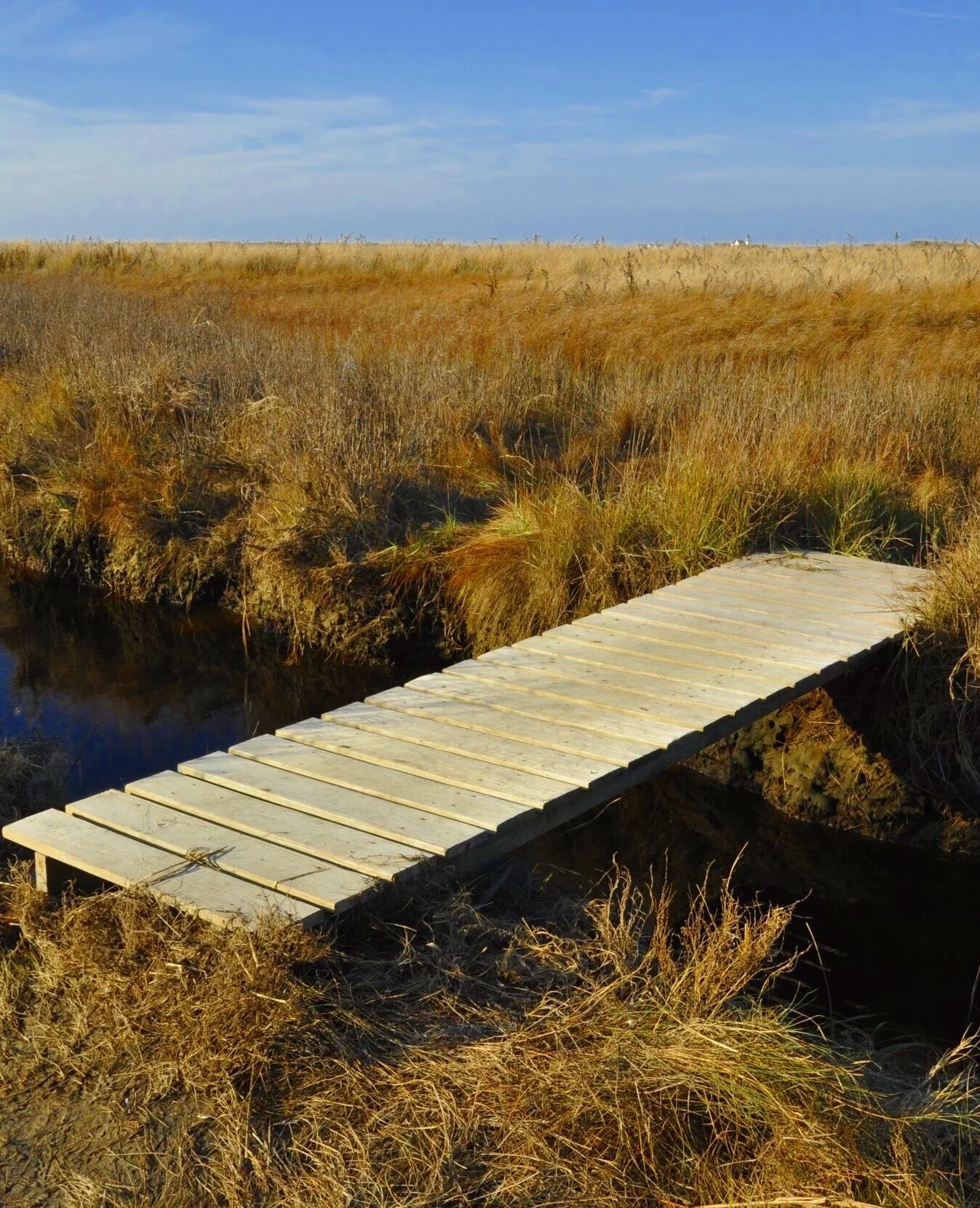 Long Pasture Wildlife Sanctuary