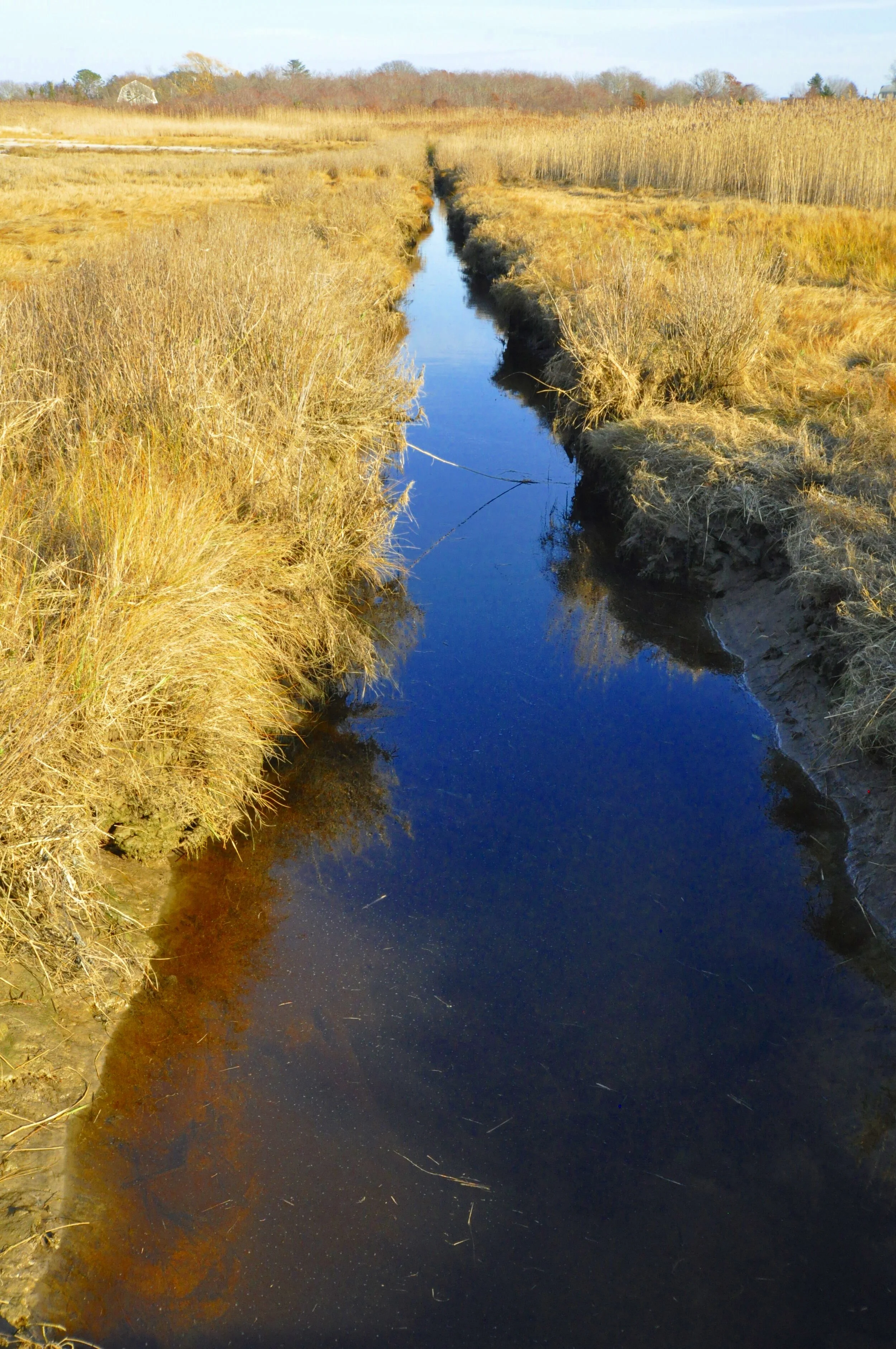 Long Pasture Wildlife Sanctuary
