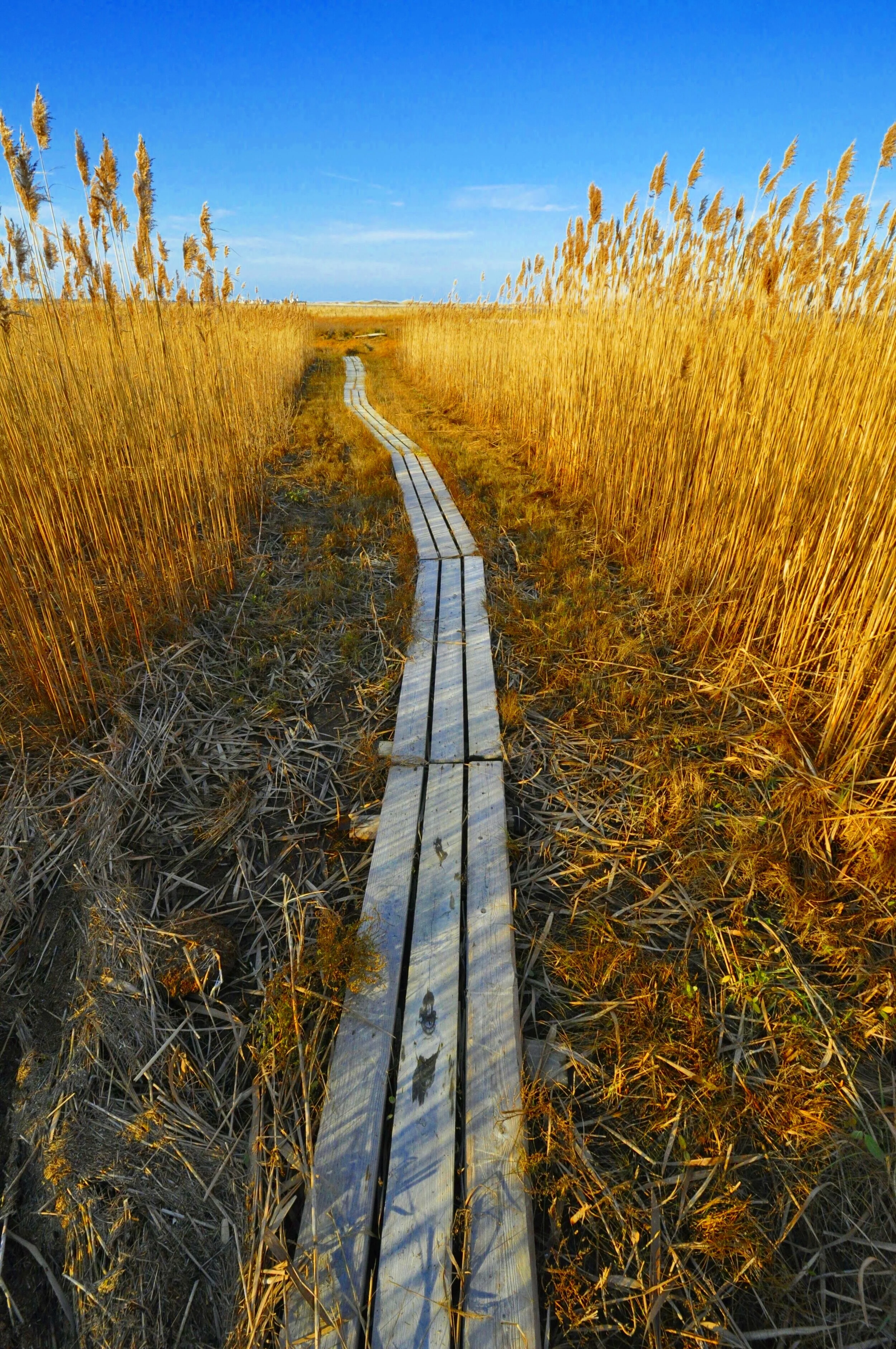 Long Pasture Wildlife Sanctuary