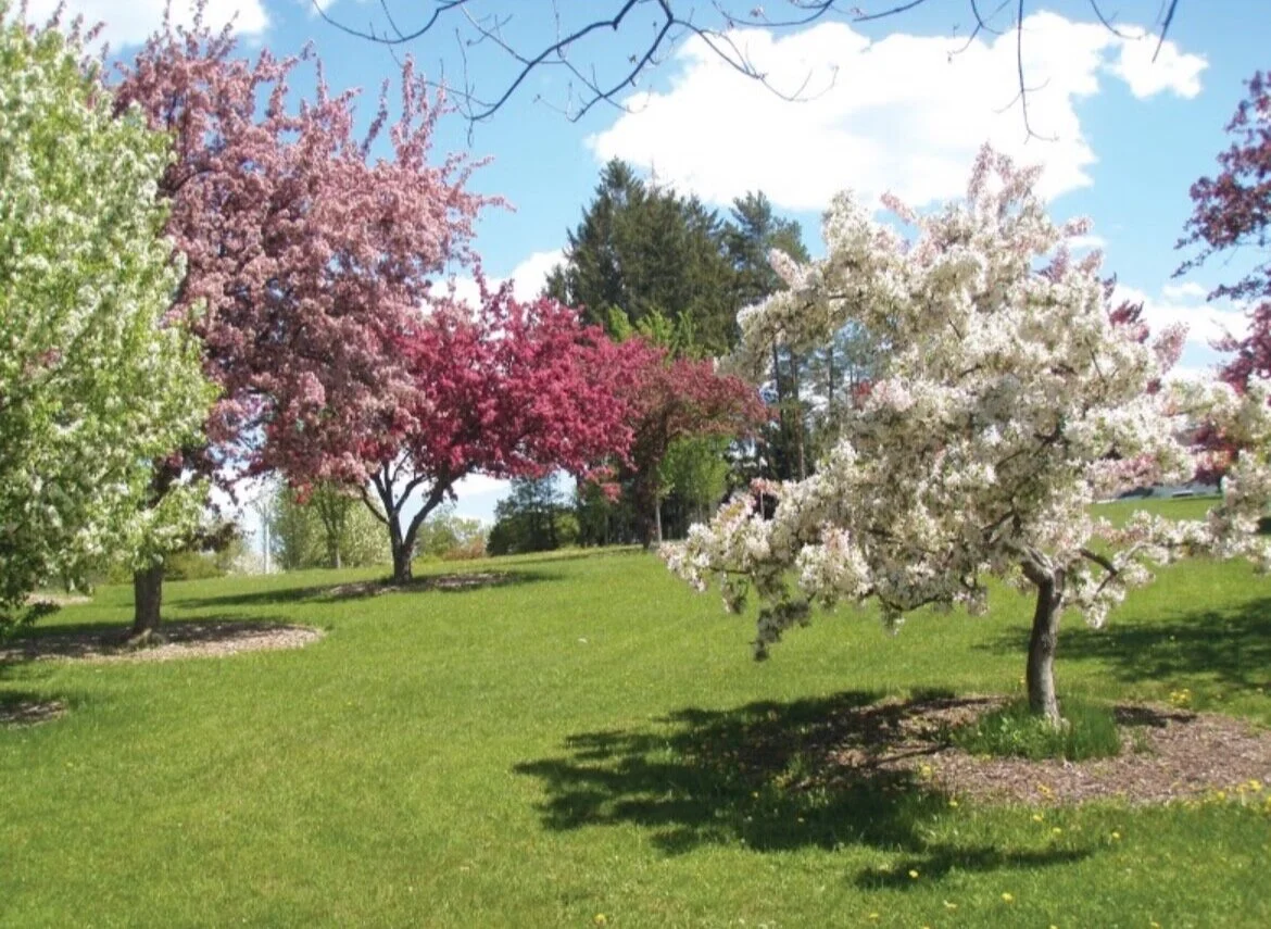 Hebert Arboretum at Springside Park