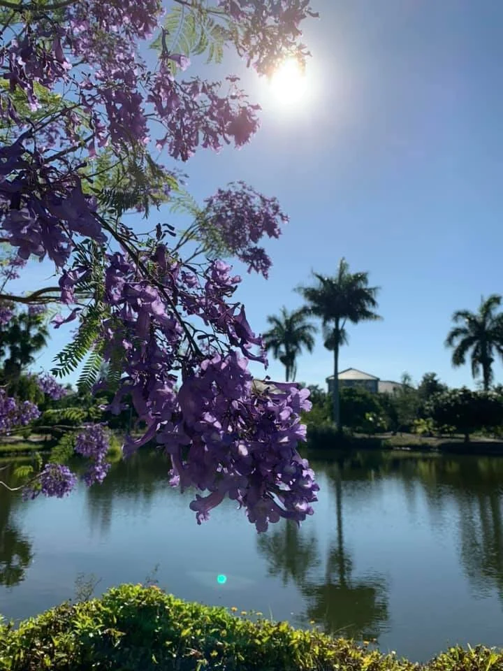 Palma Sola Botanical Park