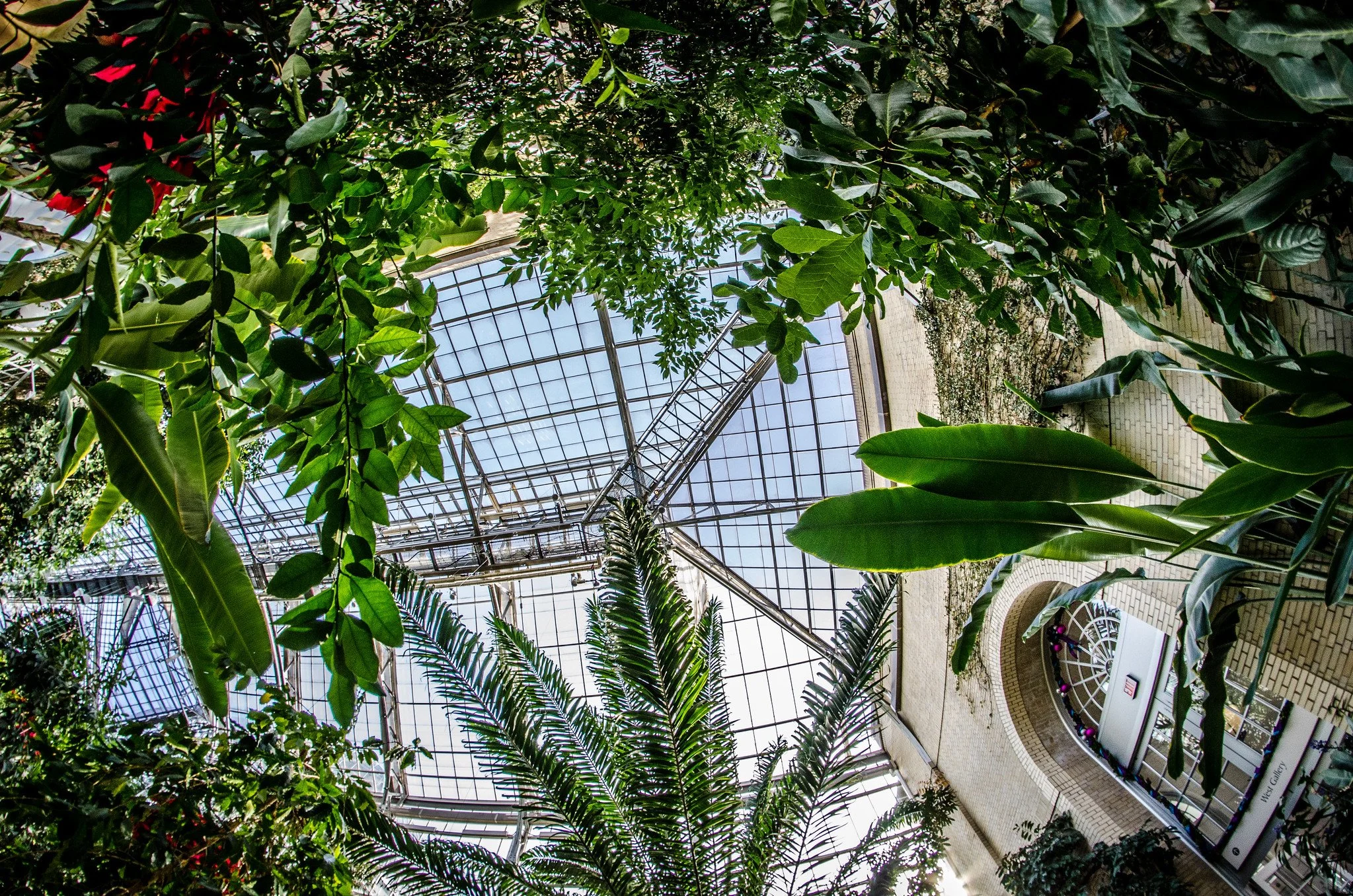 United States Botanical Garden