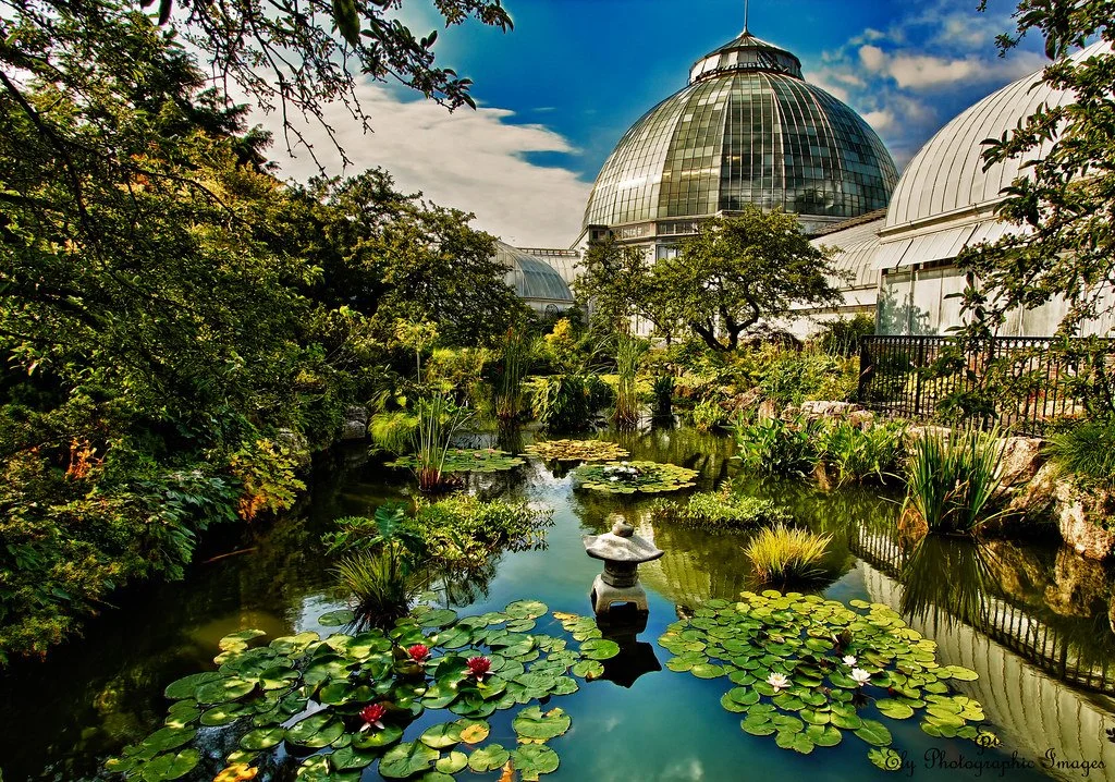 Anna Scripps Whitcomb Conservatory
