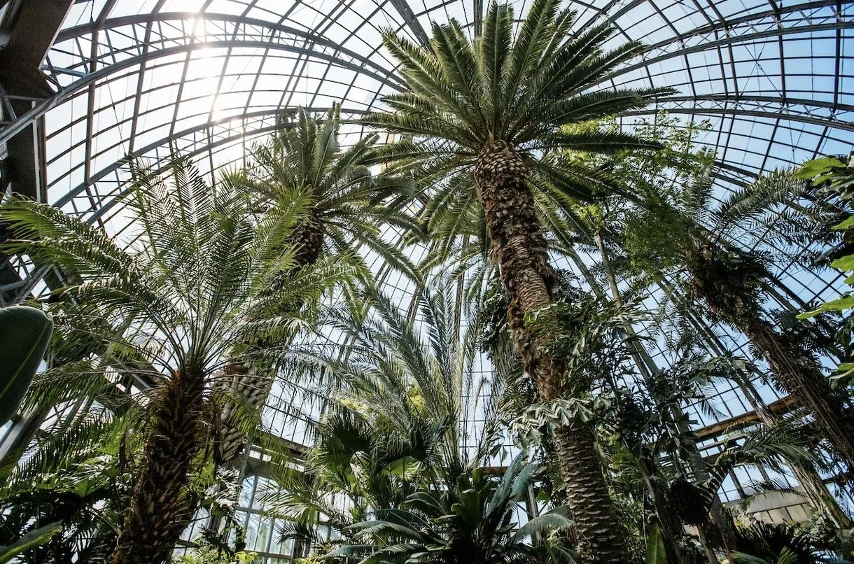 Anna Scripps Whitcomb Conservatory
