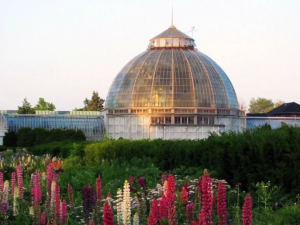 Anna Scripps Whitcomb Conservatory