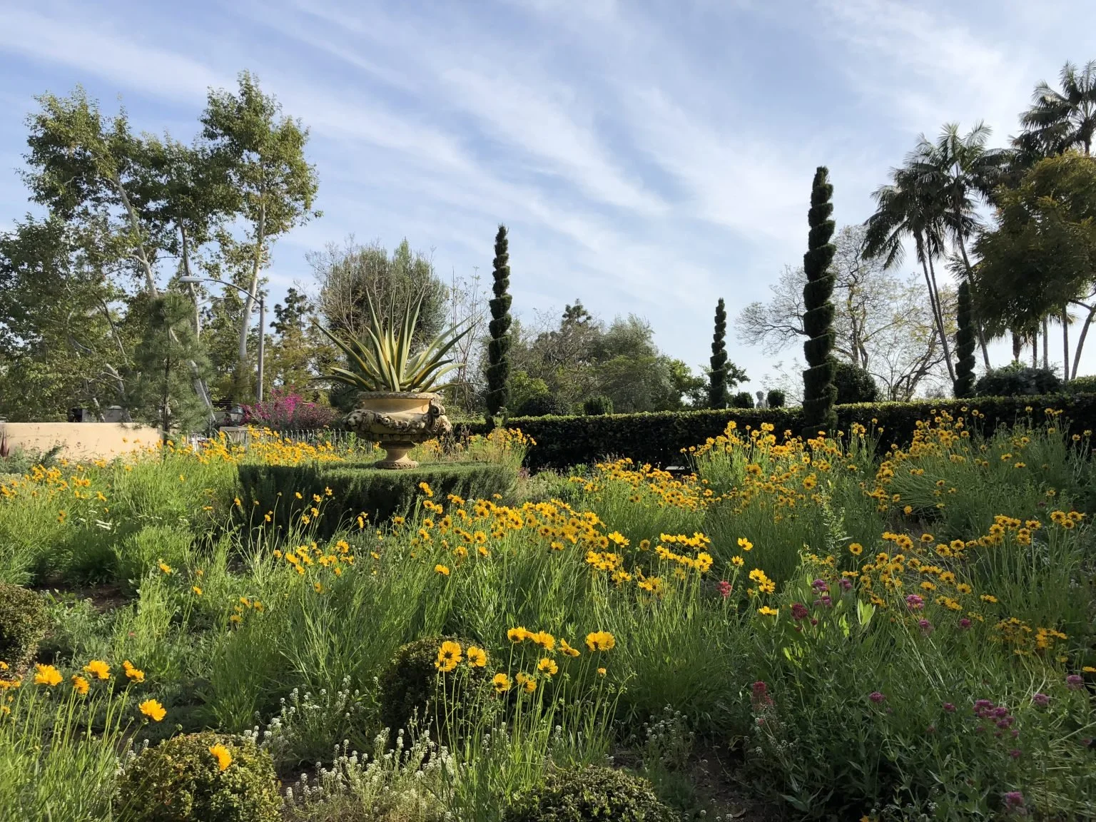 The Front Meadow