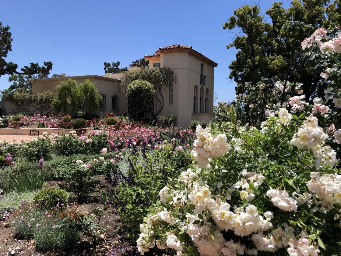 Display Rose Garden