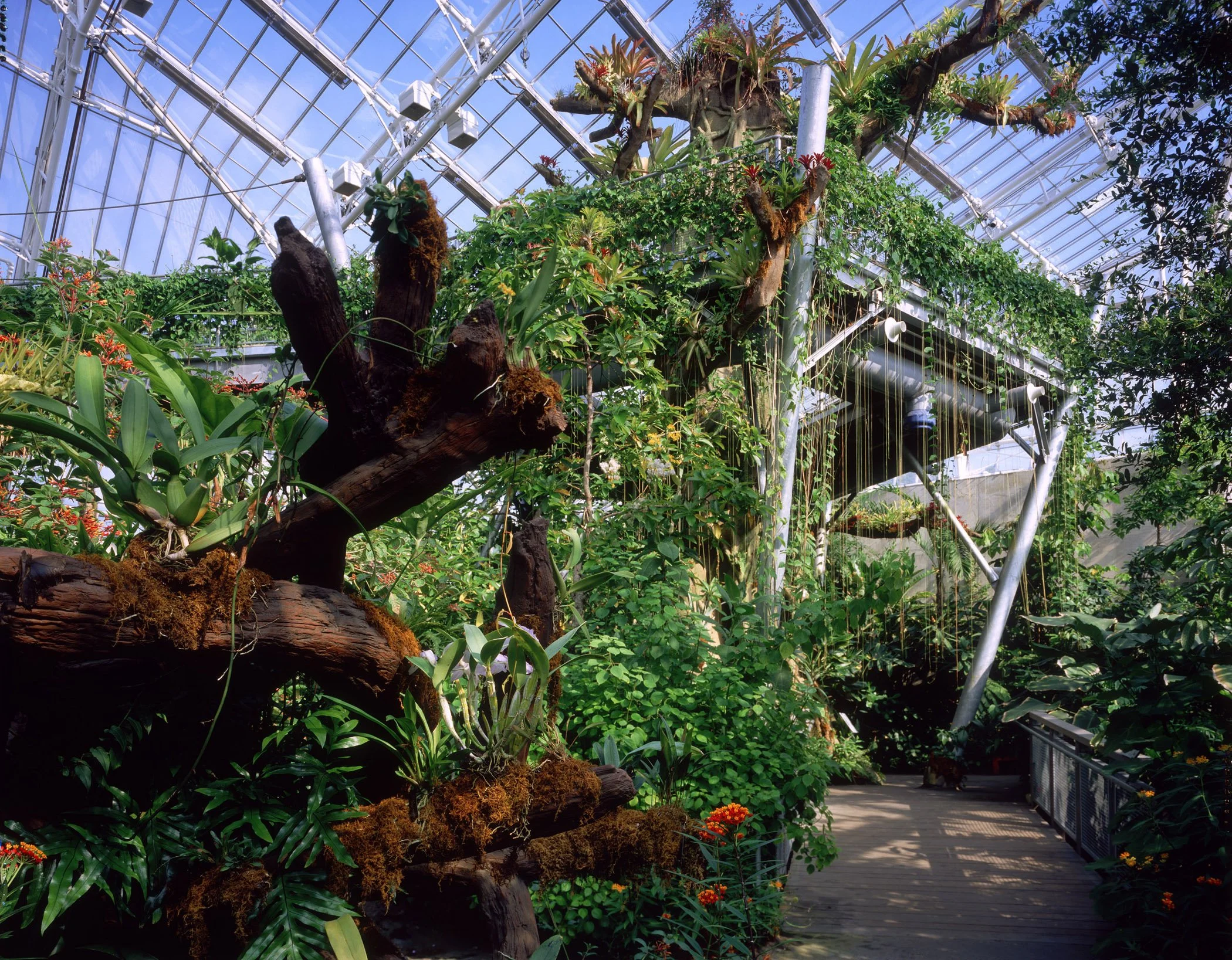 Cleveland Botanical Garden