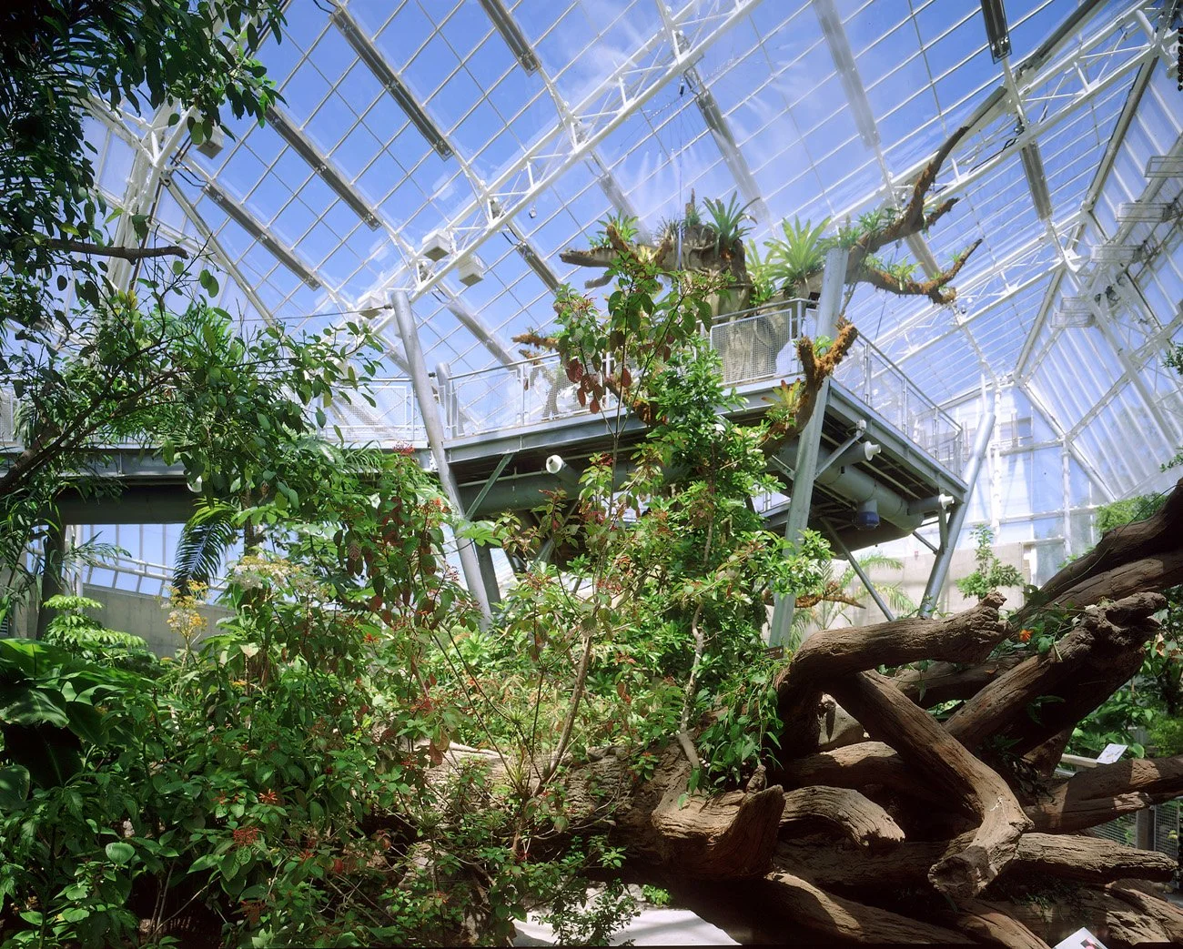 Cleveland Botanical Garden