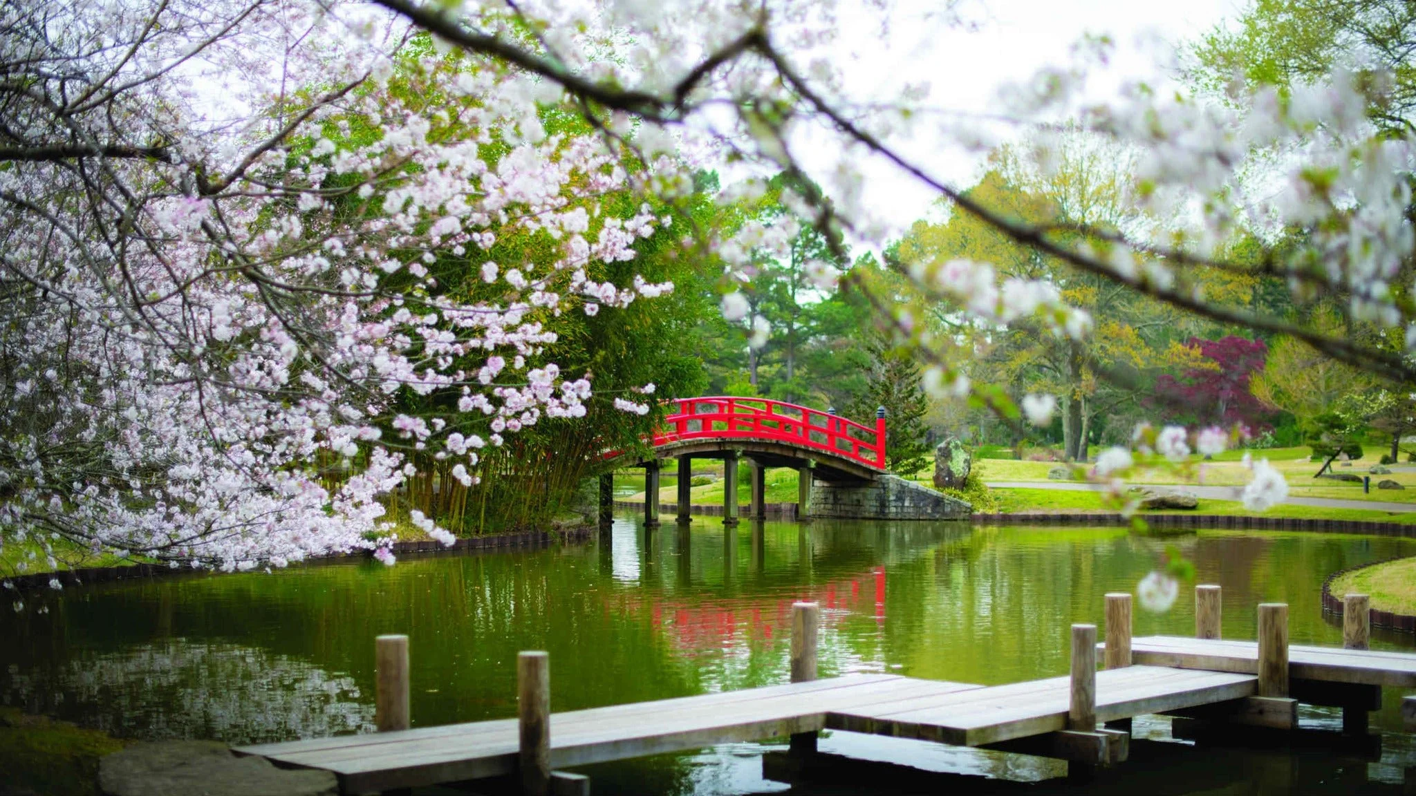 Memphis Botanic Garden