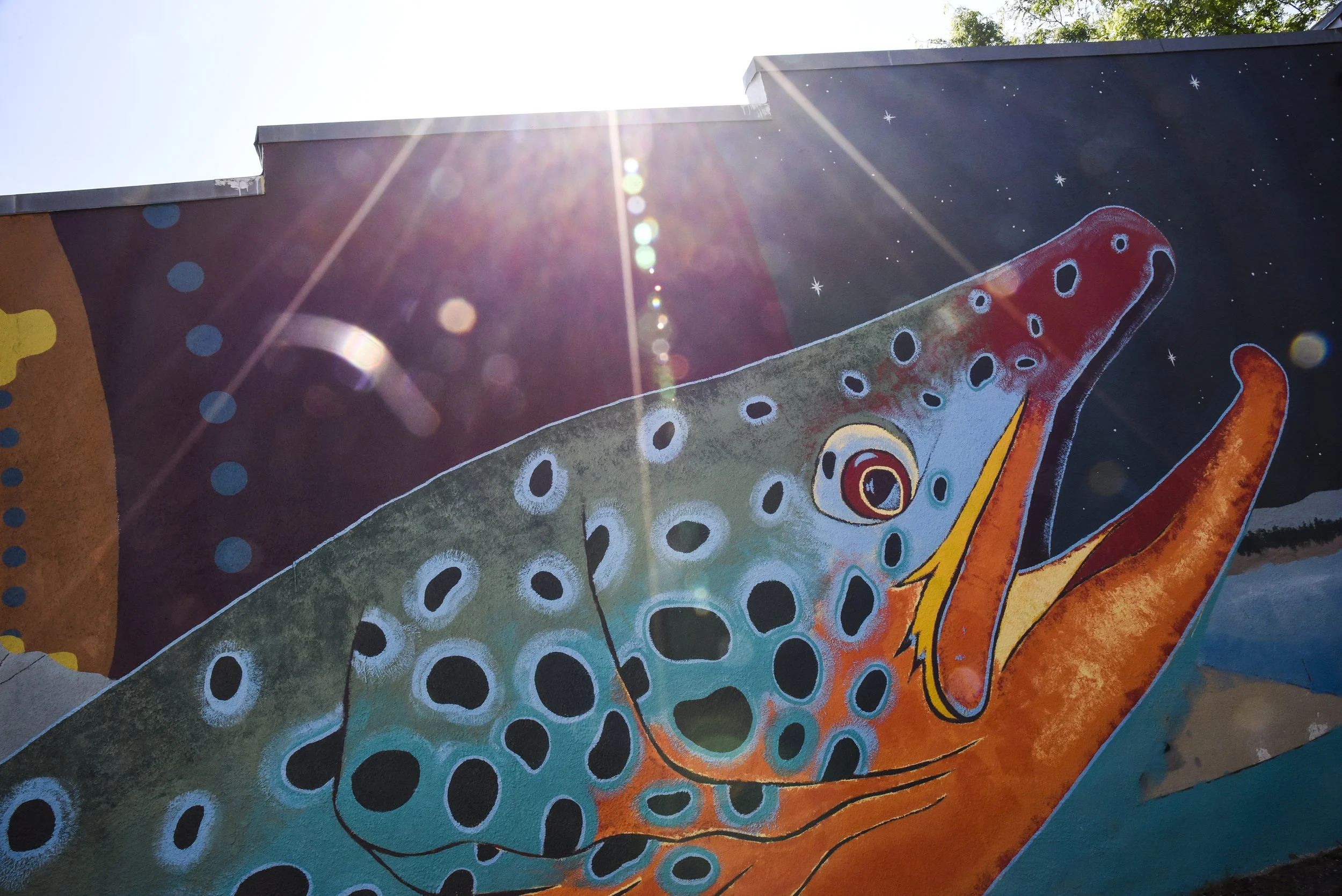  Bozeman, Montana 