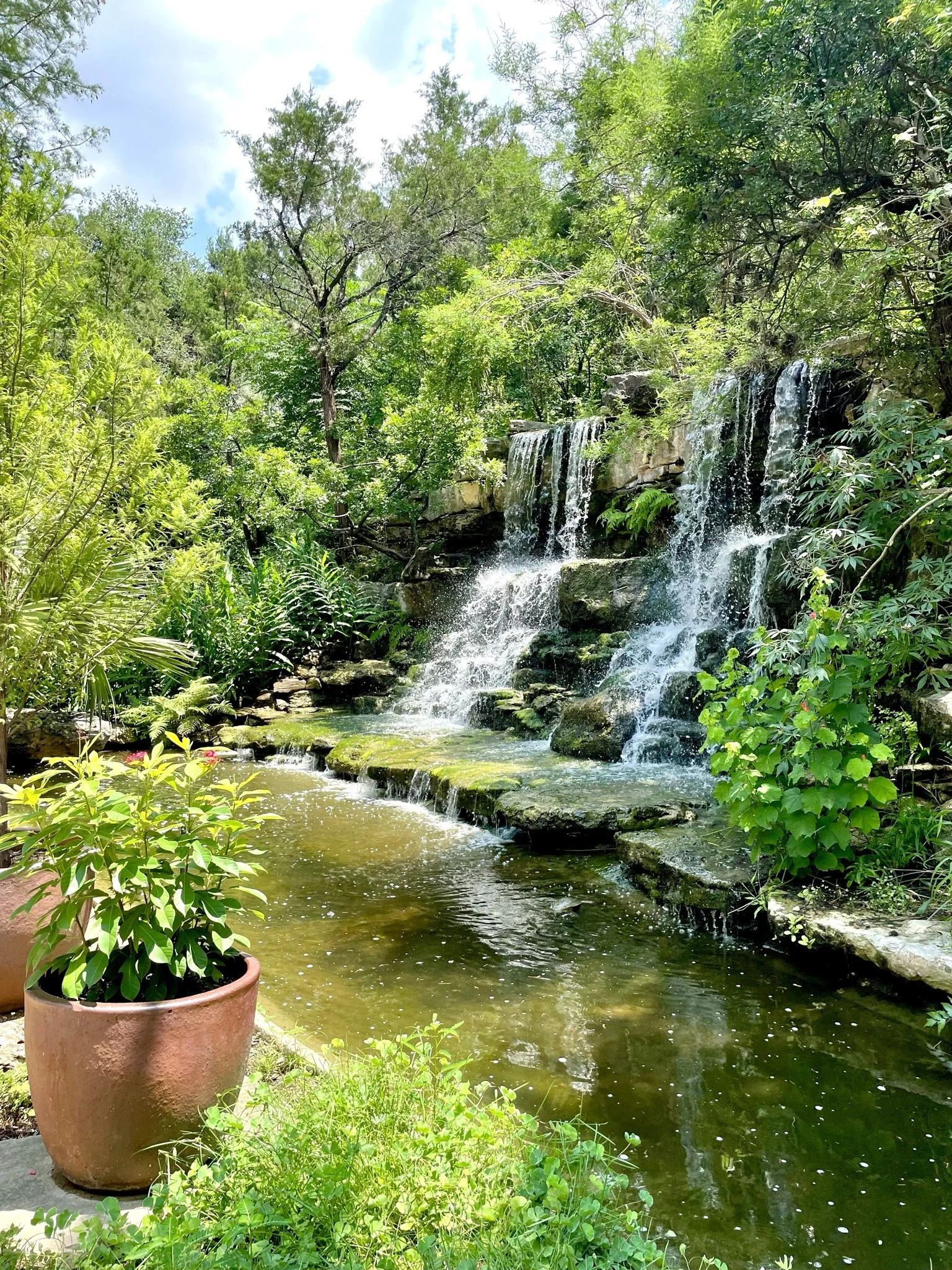 Zilker Botanical Garden