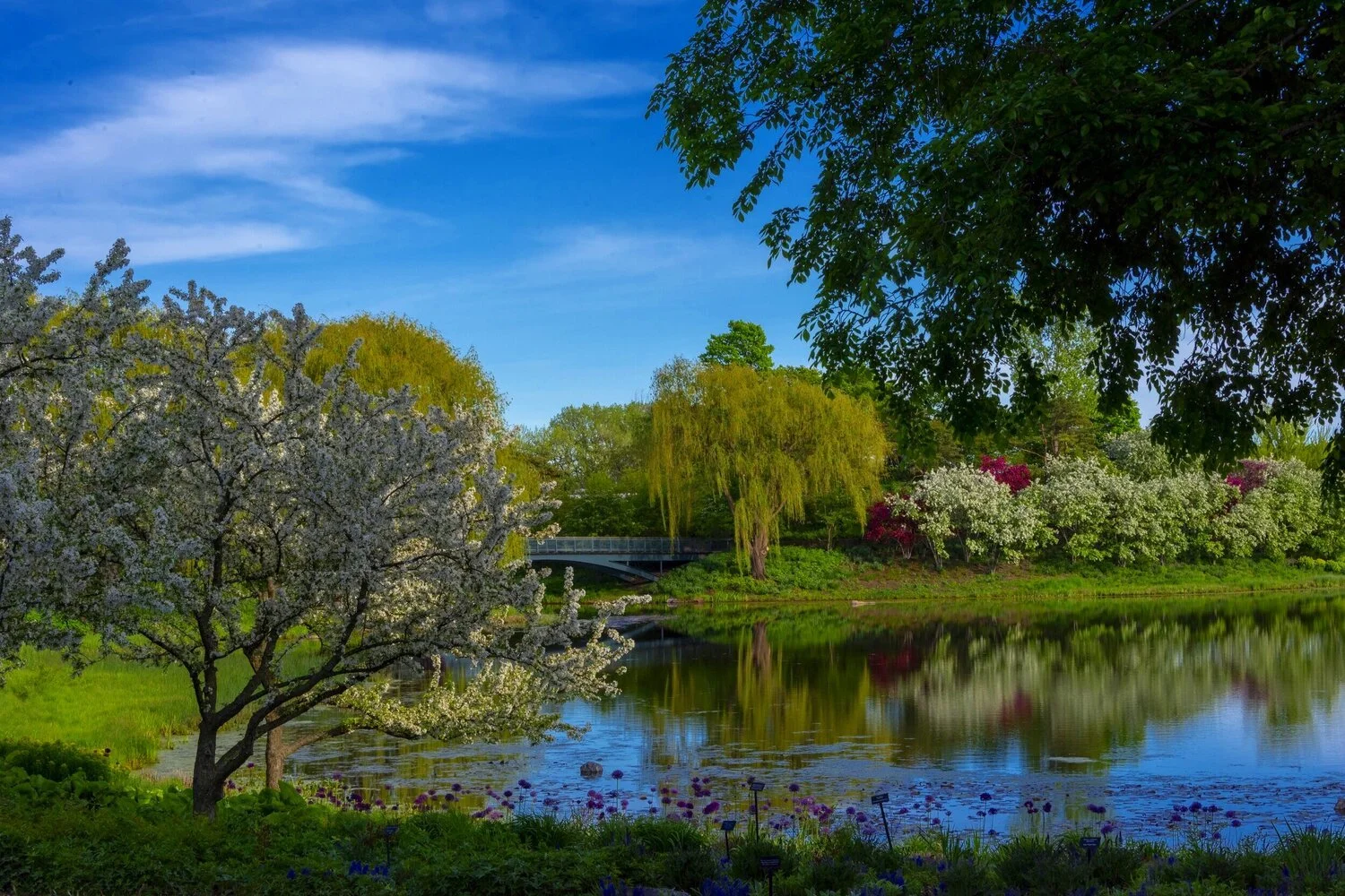 Chicago Botanic Garden