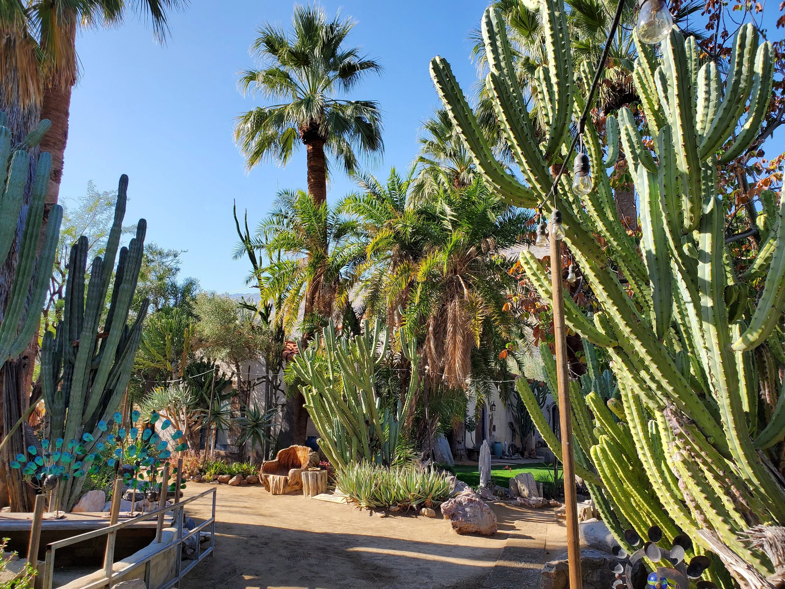 Moorten Botanical Garden