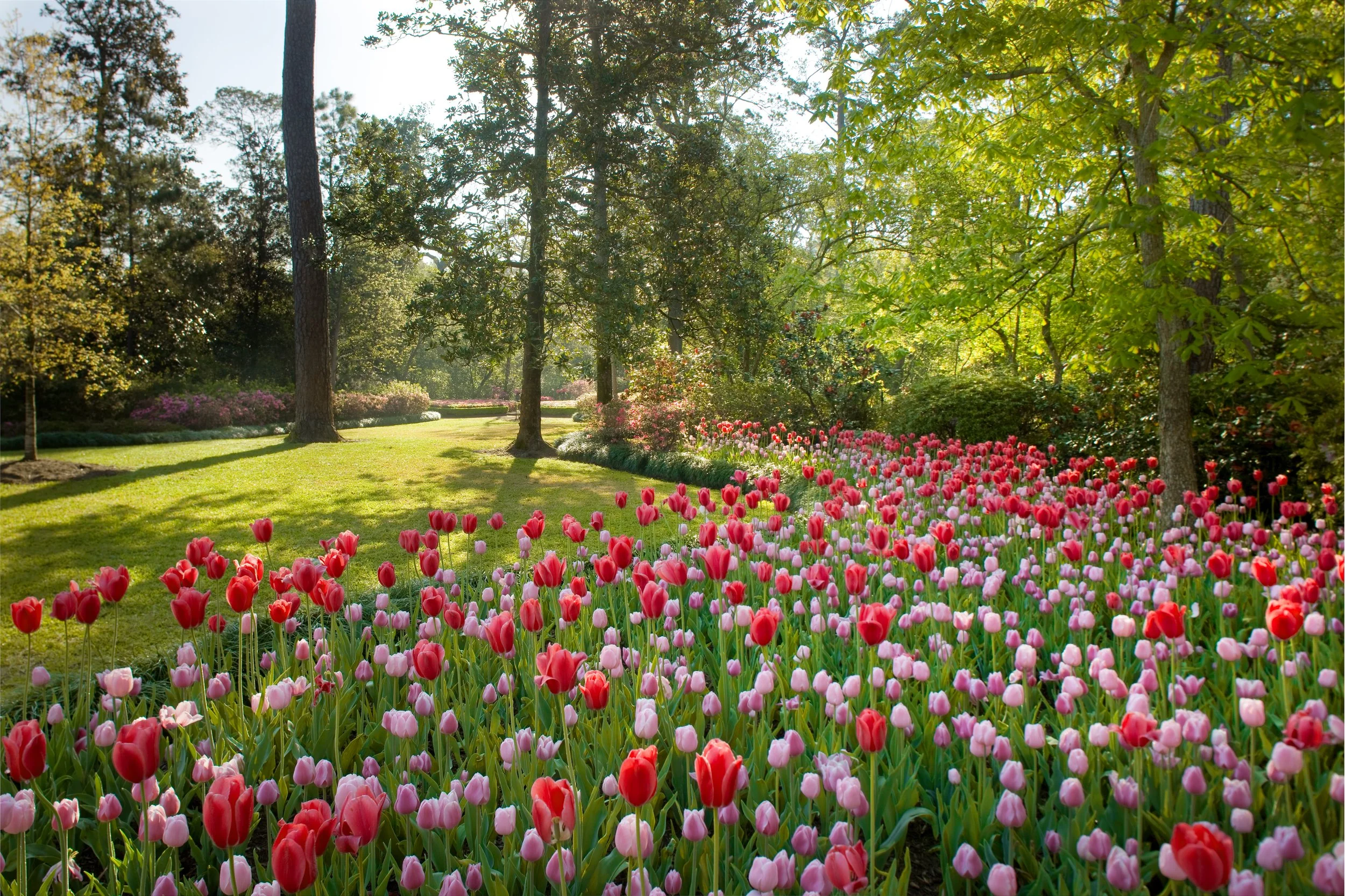 Bayou Bend Collection and Gardens