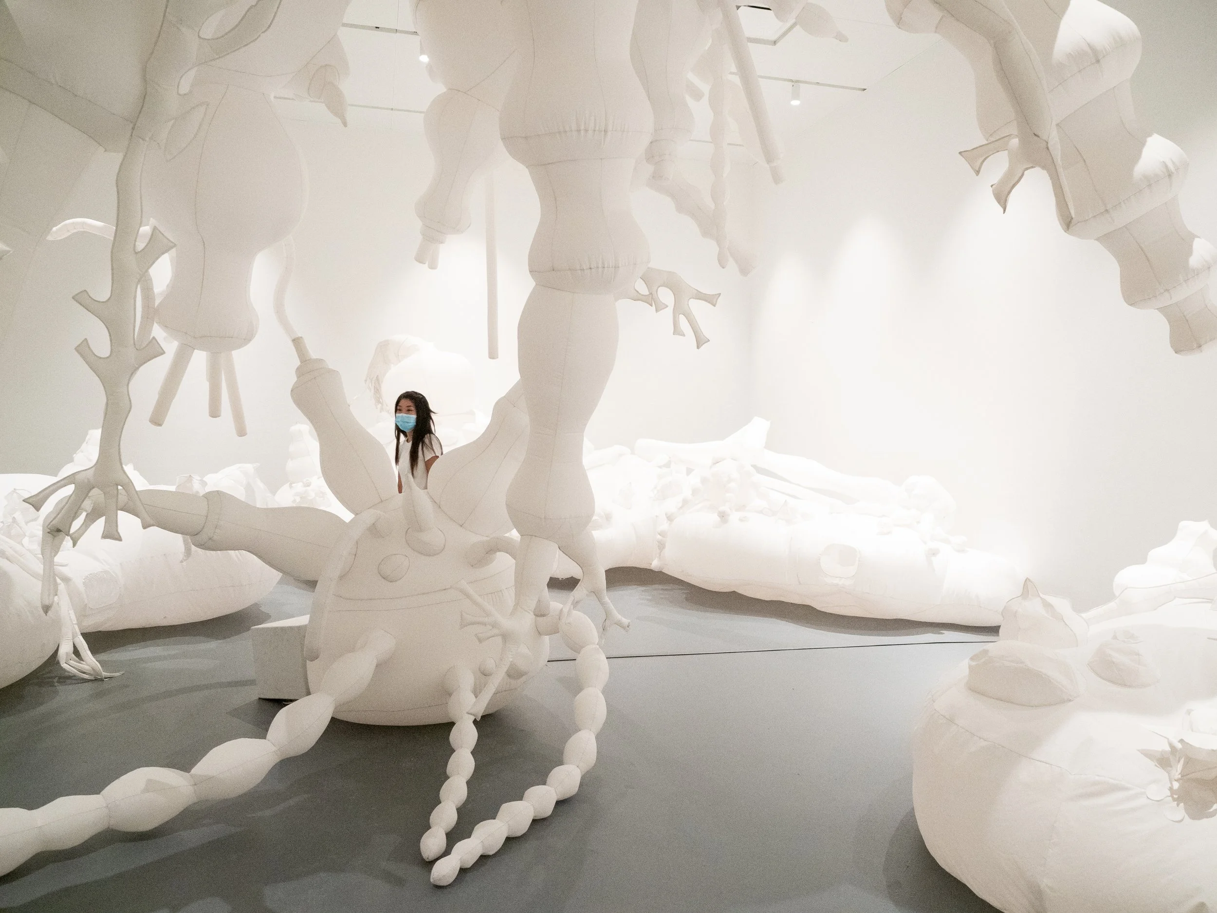 Wonderspaces