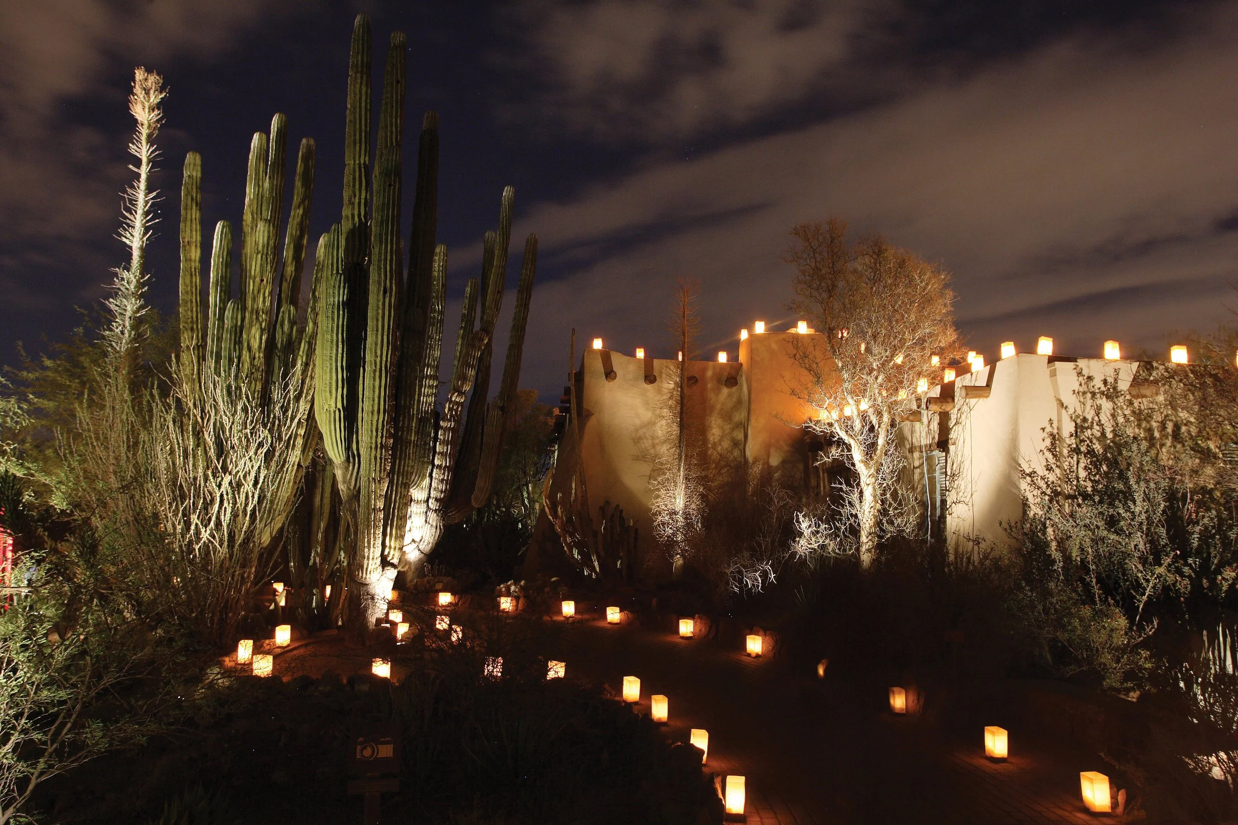 Desert Botanical Garden