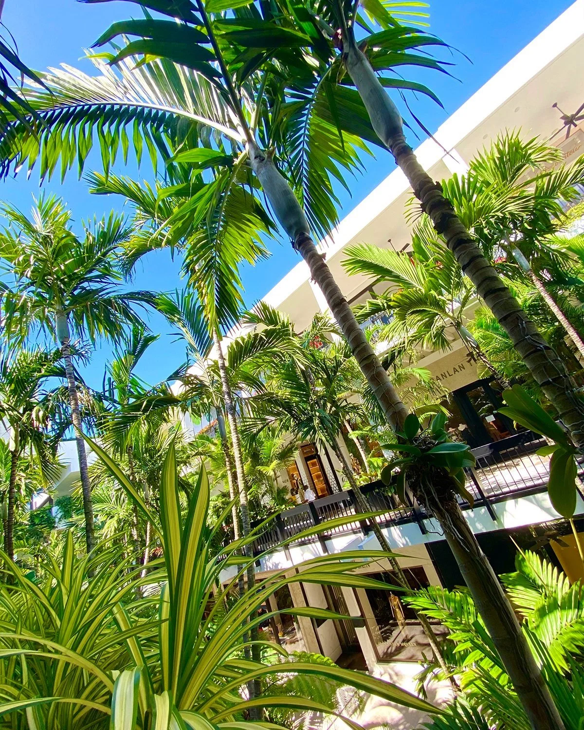 Bal Harbour Shops