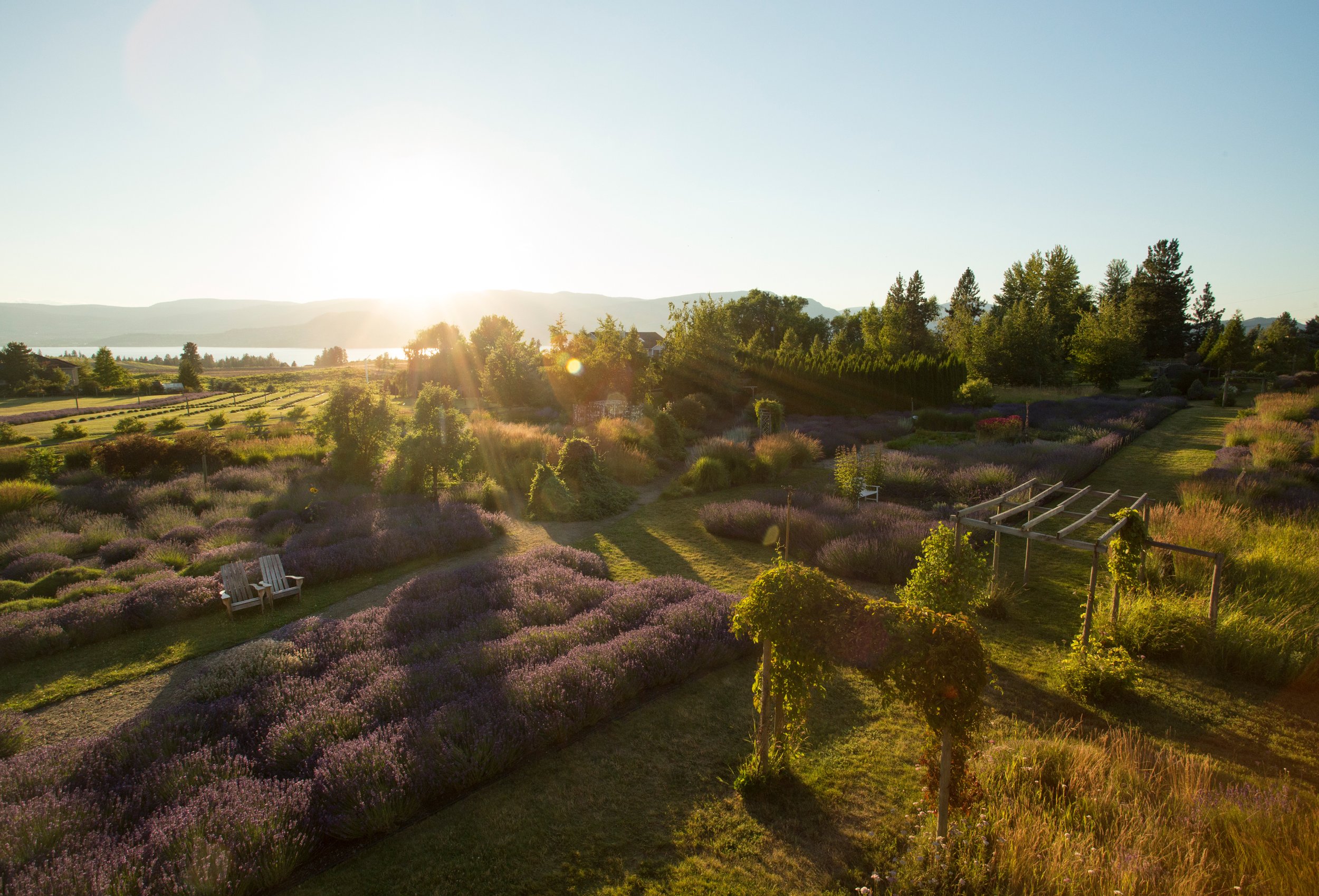 Okanagan Lavender &amp; Herb Farm