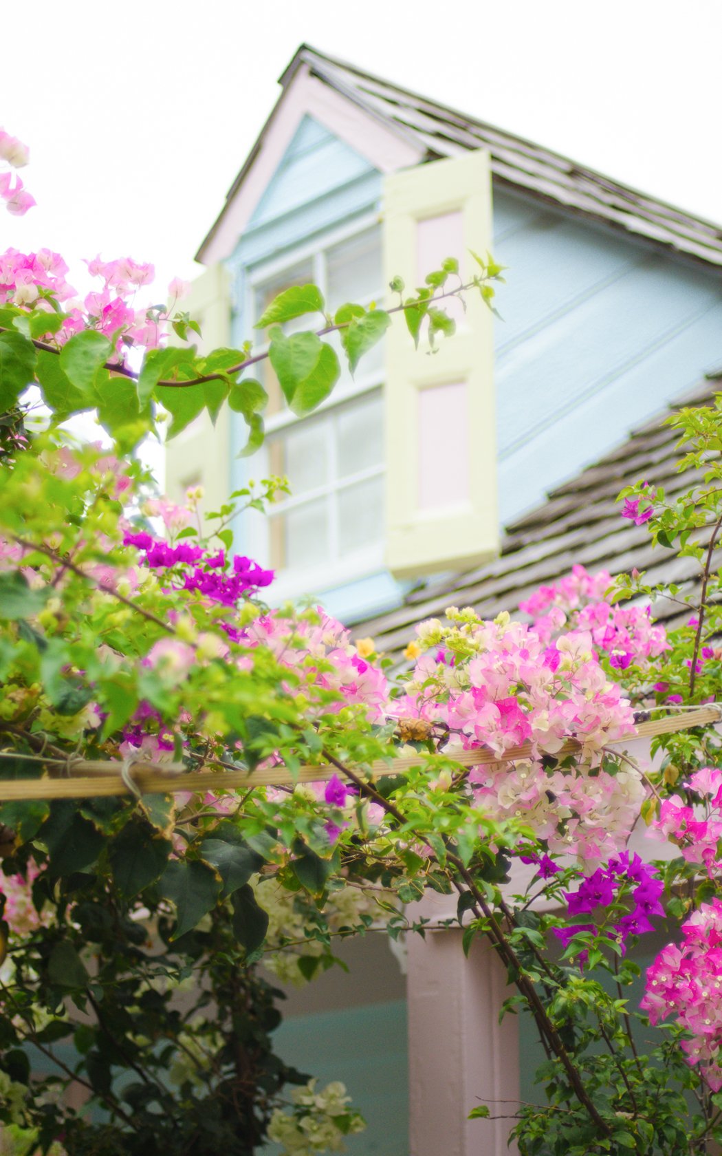  Source: Bahamas Ministry of Tourism 