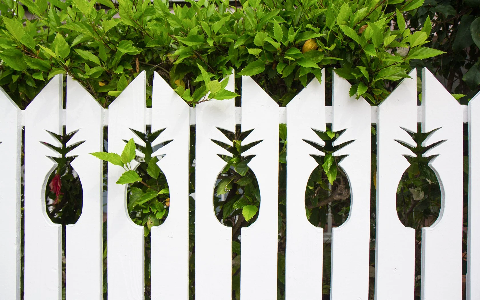  Source: Bahamas Ministry of Tourism 