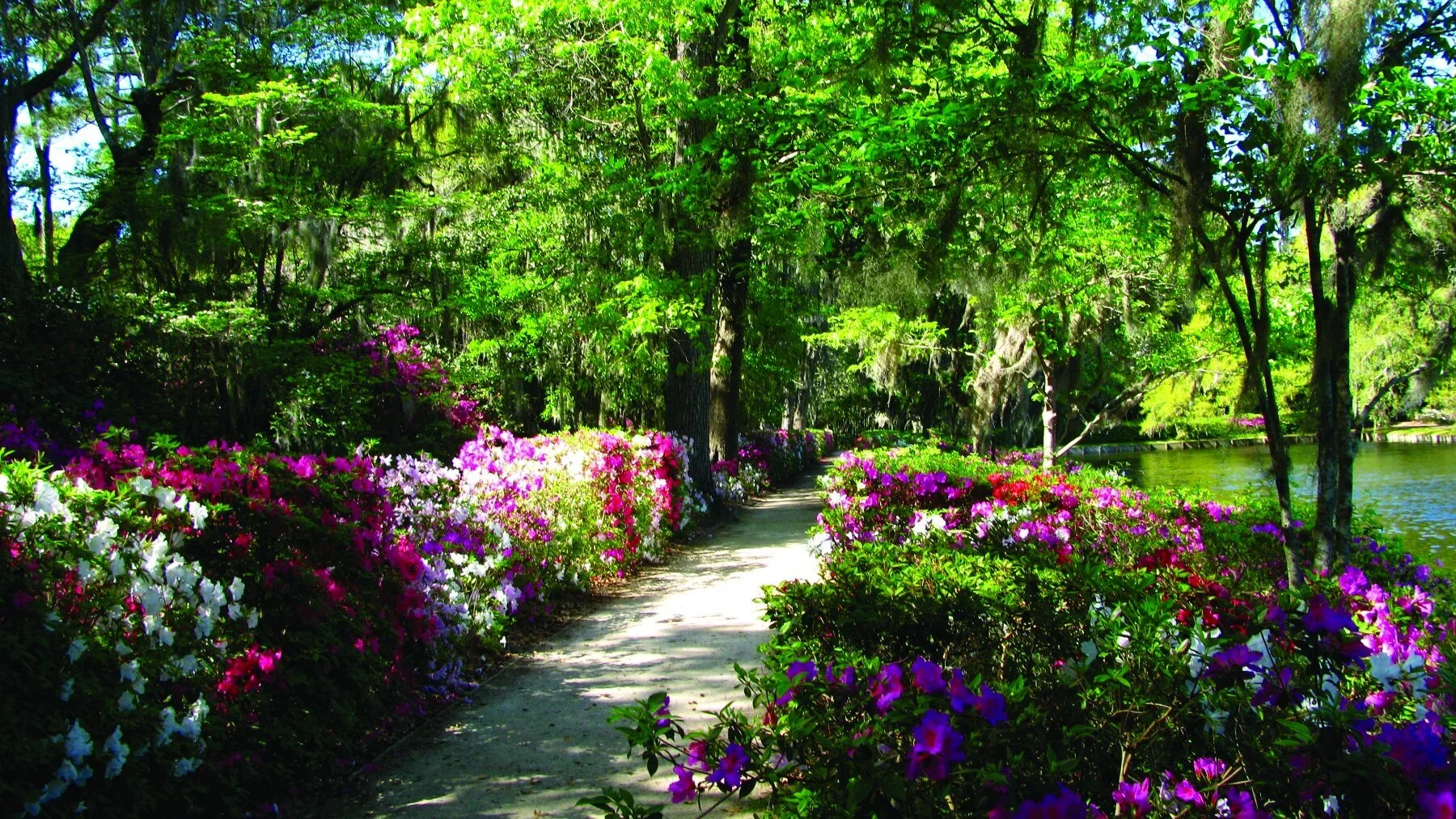 Middleton Place Plantation