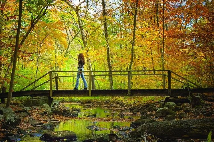   Source: Bartlett Arboretum &amp; Gardens  