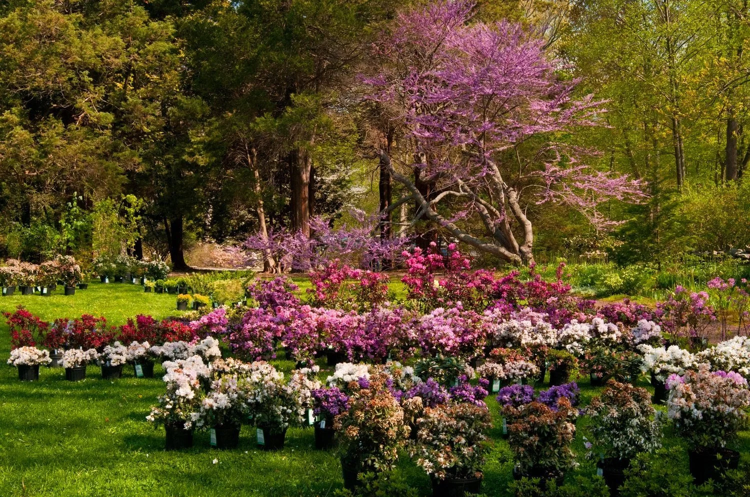   Source: Bartlett Arboretum &amp; Gardens  